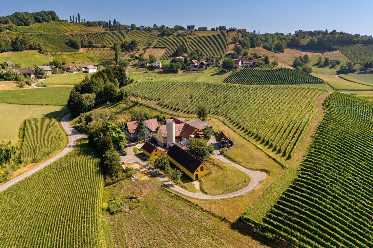 Weitläufiges Anwesen mit mehreren Gebäuden, umgeben von grünen Weinbergen und Feldern, sonniger Tag.