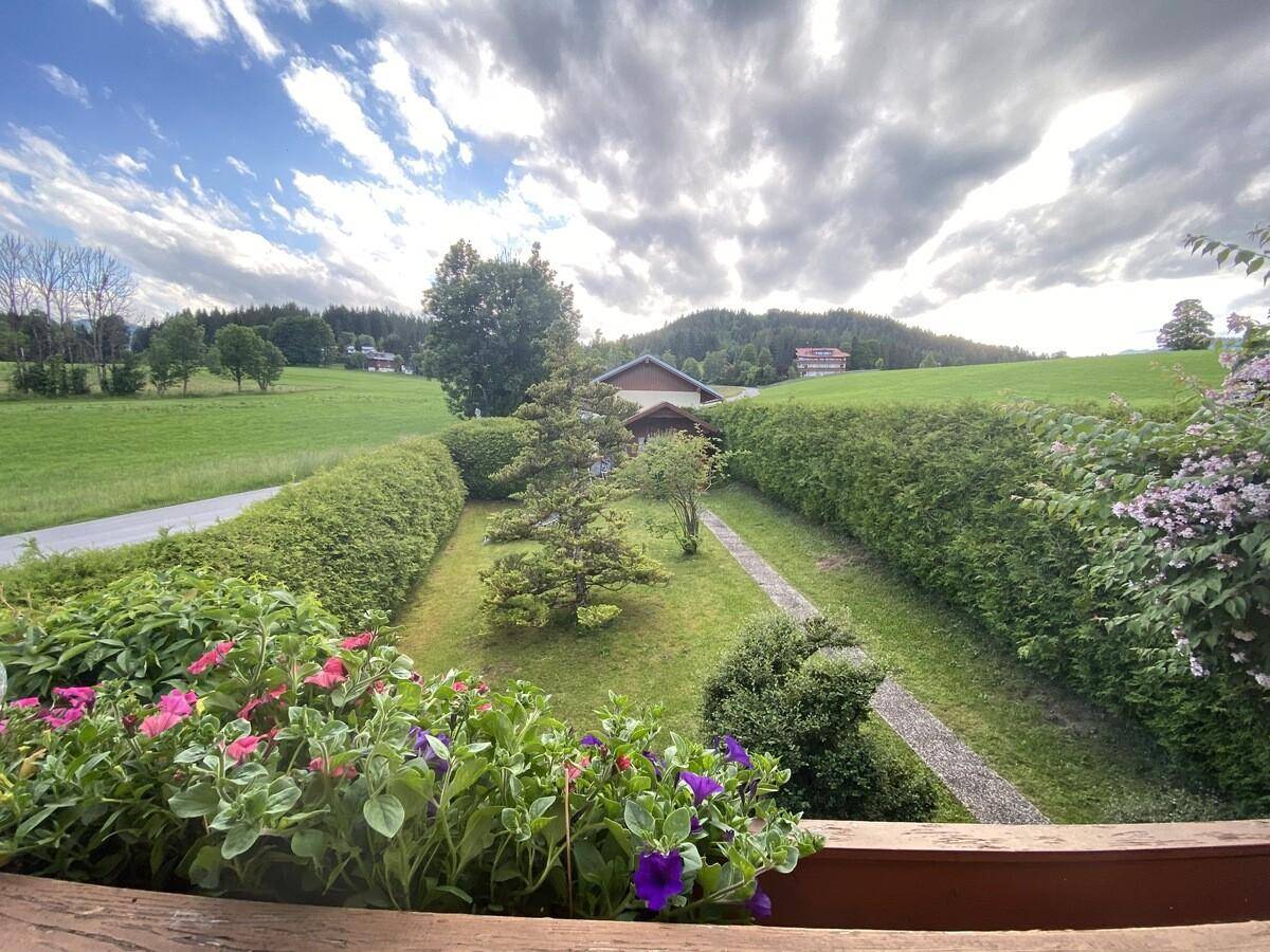 Malerischer Blick auf eine grüne Landschaft mit Hecken, Bäumen und einem Weg unter weitem Himmel.