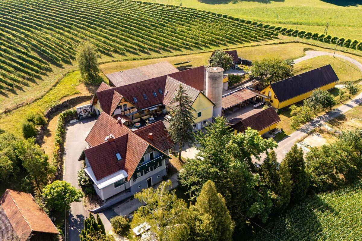 Großzügiges Anwesen mit mehreren Gebäuden und einem Silo, umgeben von üppigen Weinbergen und Bäumen.
