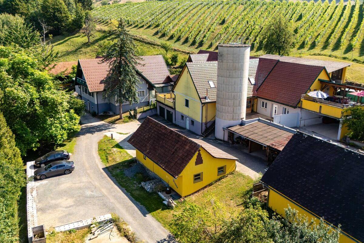Luftaufnahme eines Anwesens mit Parkplätzen, umgeben von Bäumen und Weinbergen, idyllische Lage.