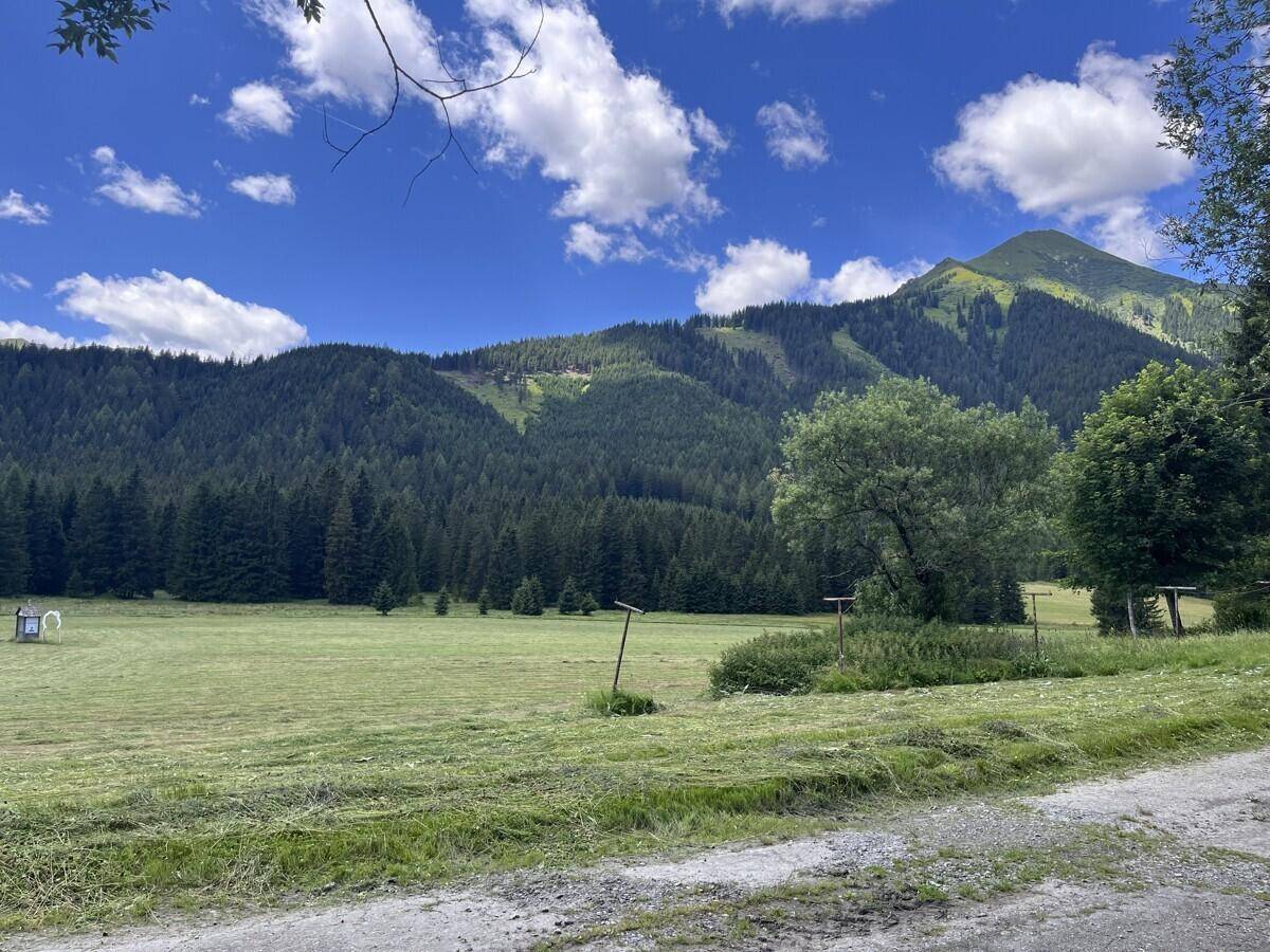 Panoramablick auf grüne Wiesen und bewaldete Berge an einem sonnigen Tag mit blauem Himmel.