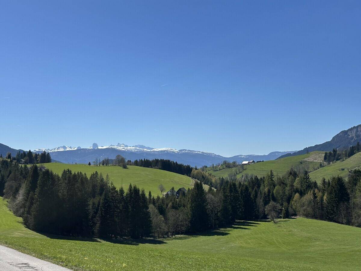 Weitläufiger Panoramablick auf grüne Hügel, Wälder und schneebedeckte Berge am Horizont.