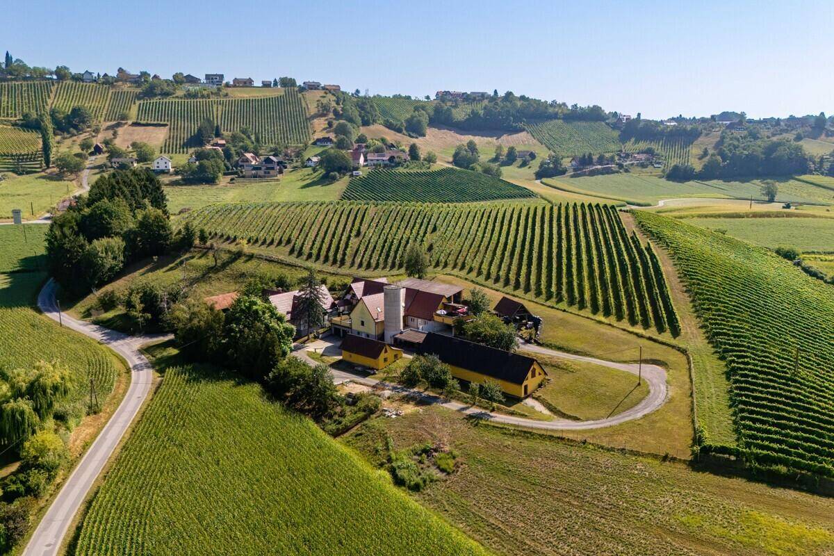 Luftaufnahme eines Anwesens inmitten weitläufiger Weinberge unter blauem Himmel, idyllische Landschaft.