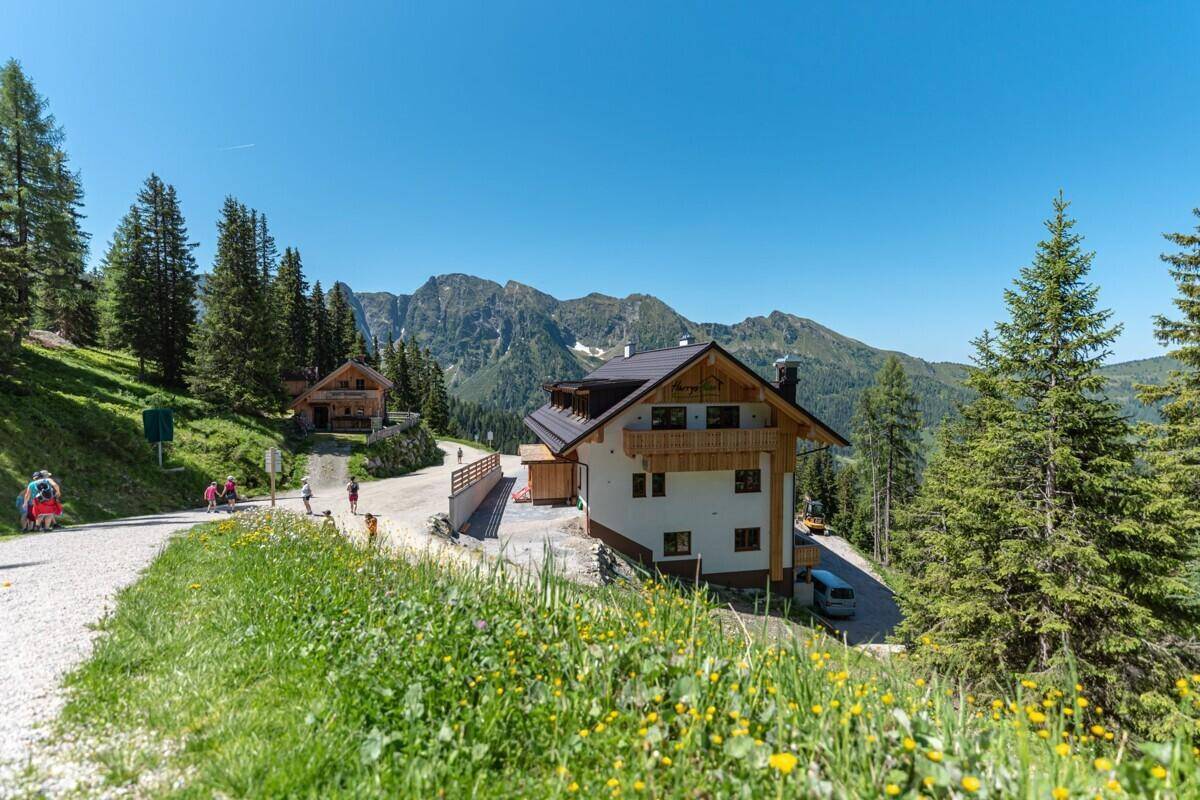 Alpenhaus in grüner Berglandschaft im Sommer mit Wanderweg und klarem Himmel.