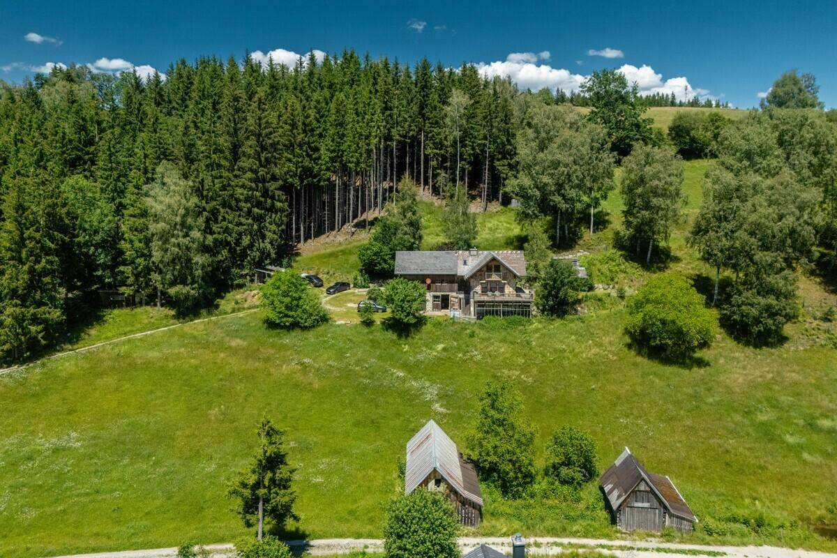 Das Chalet ist idyllisch in eine weitläufige grüne Landschaft mit Wald und Bergen im Hintergrund eingebettet.