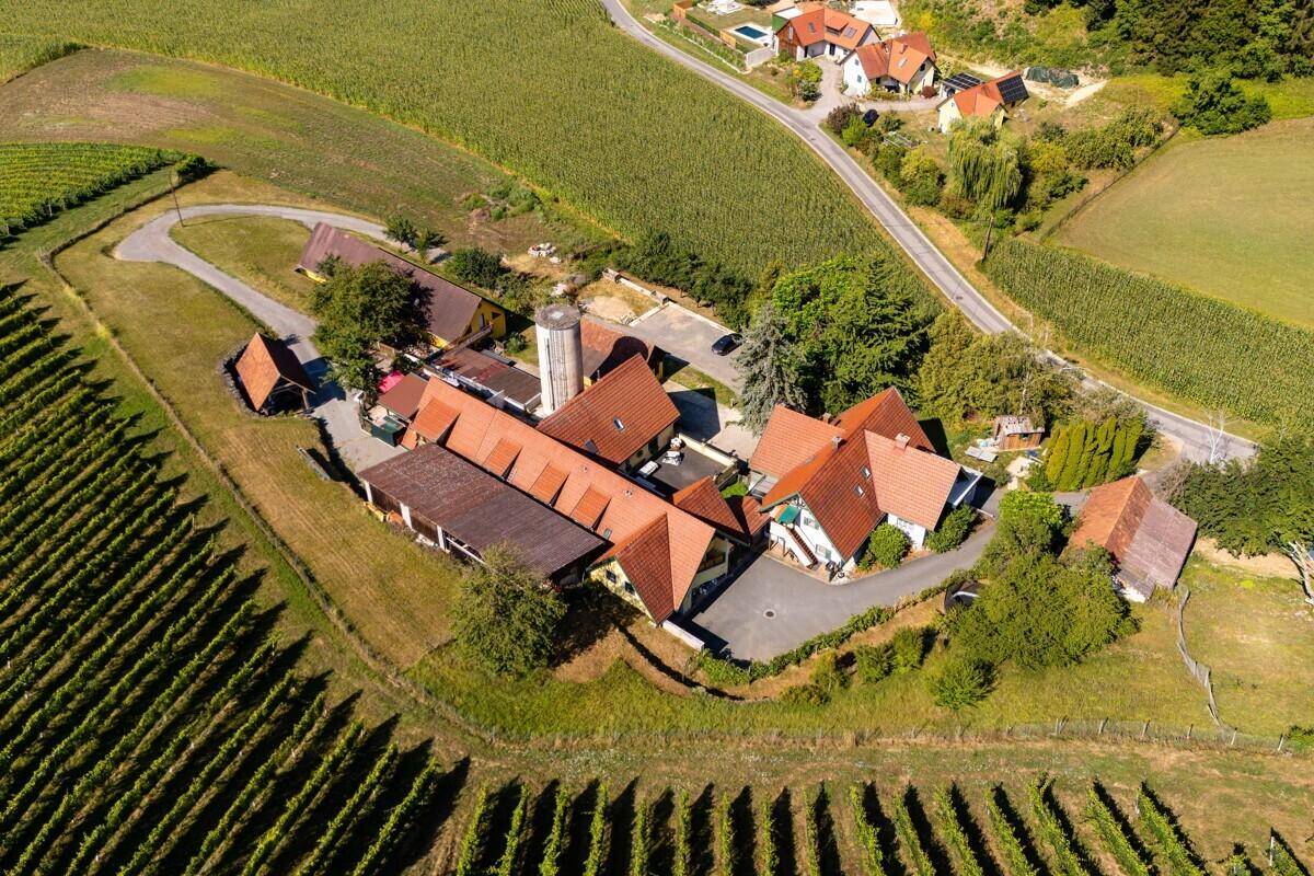 Großes Anwesen mit mehreren Gebäuden und Wegen, eingebettet in eine grüne Weinlandschaft, weitläufig und offen.