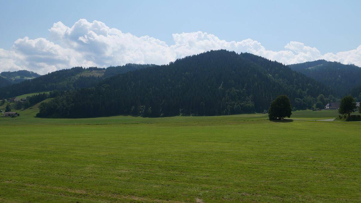 Weitläufige grüne Wiesen und bewaldete Hügel unter blauem Himmel.