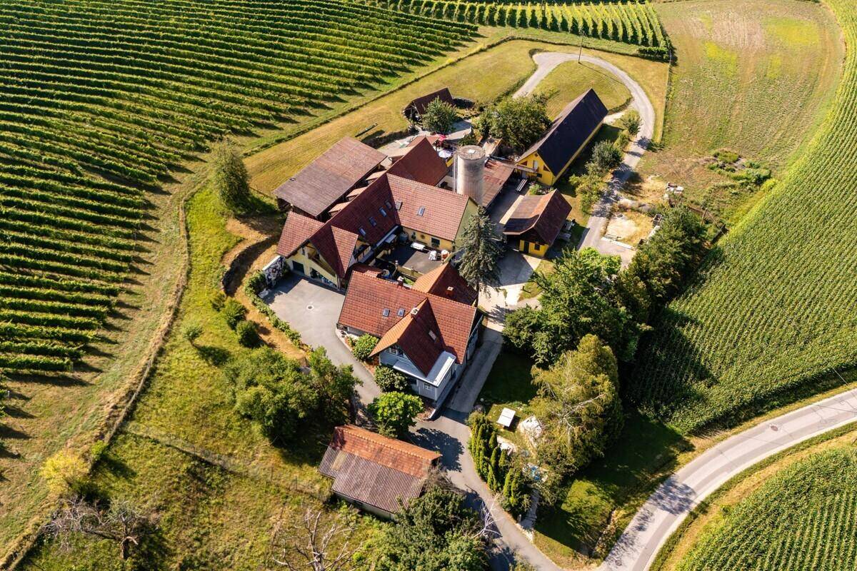 Anwesen aus der Luft, umgeben von terrassierten Weinbergen und ländlicher Idylle, sonnige Aussicht.