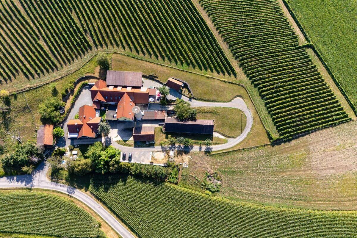 Anwesen in einer hügeligen Landschaft mit ausgedehnten Weinbergen und Feldern, unter klarem Himmel.