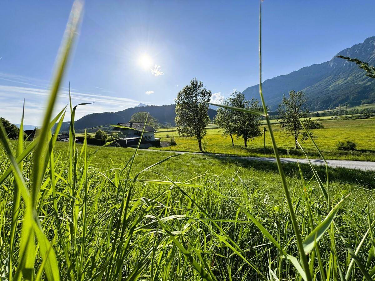 Sonnige Landschaft mit hohen Gräsern im Vordergrund, grünen Feldern und Bergen im Hintergrund.