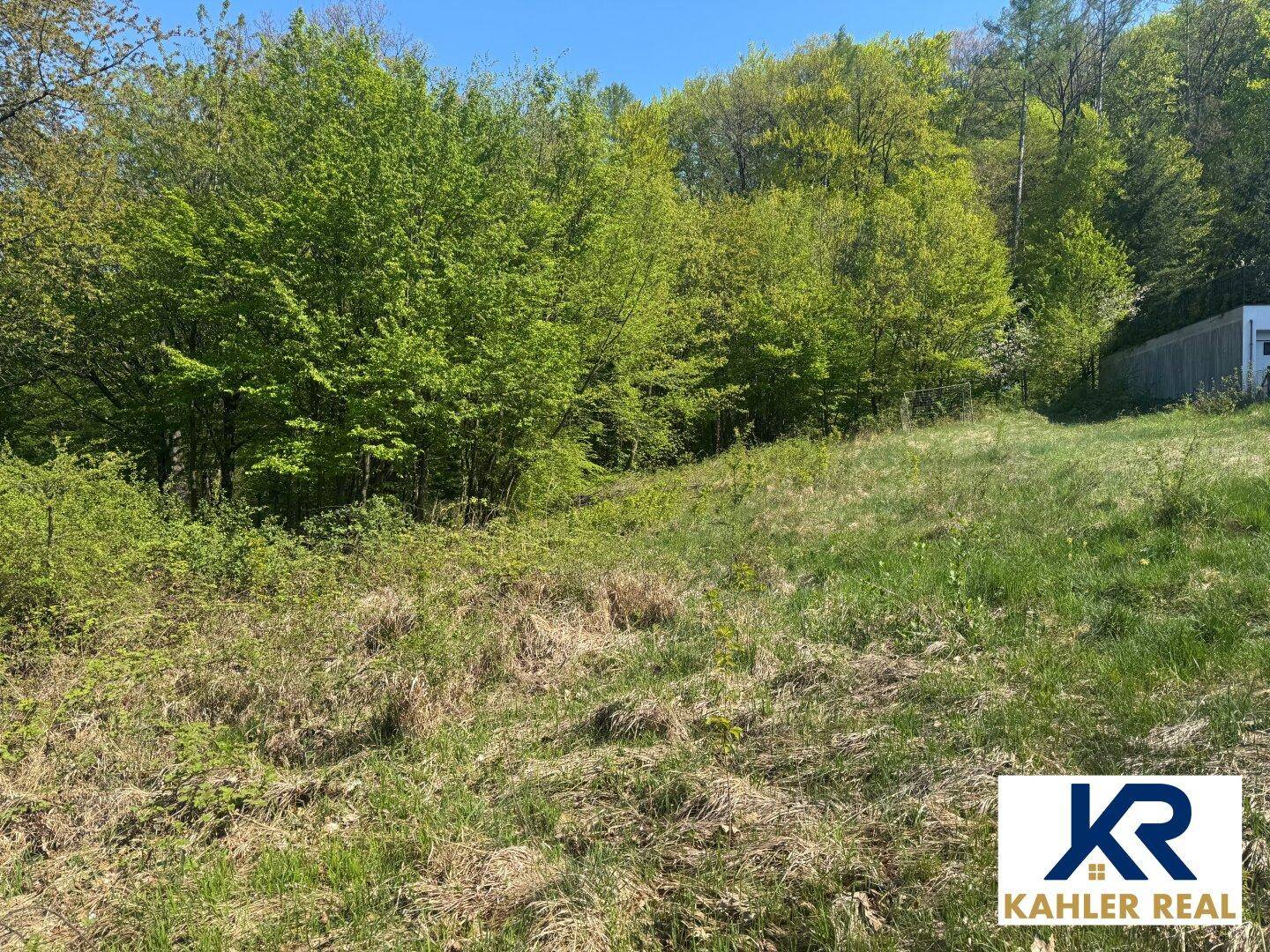 Weitläufige Grünfläche mit üppiger Vegetation und Bäumen im Hintergrund unter blauem Himmel.