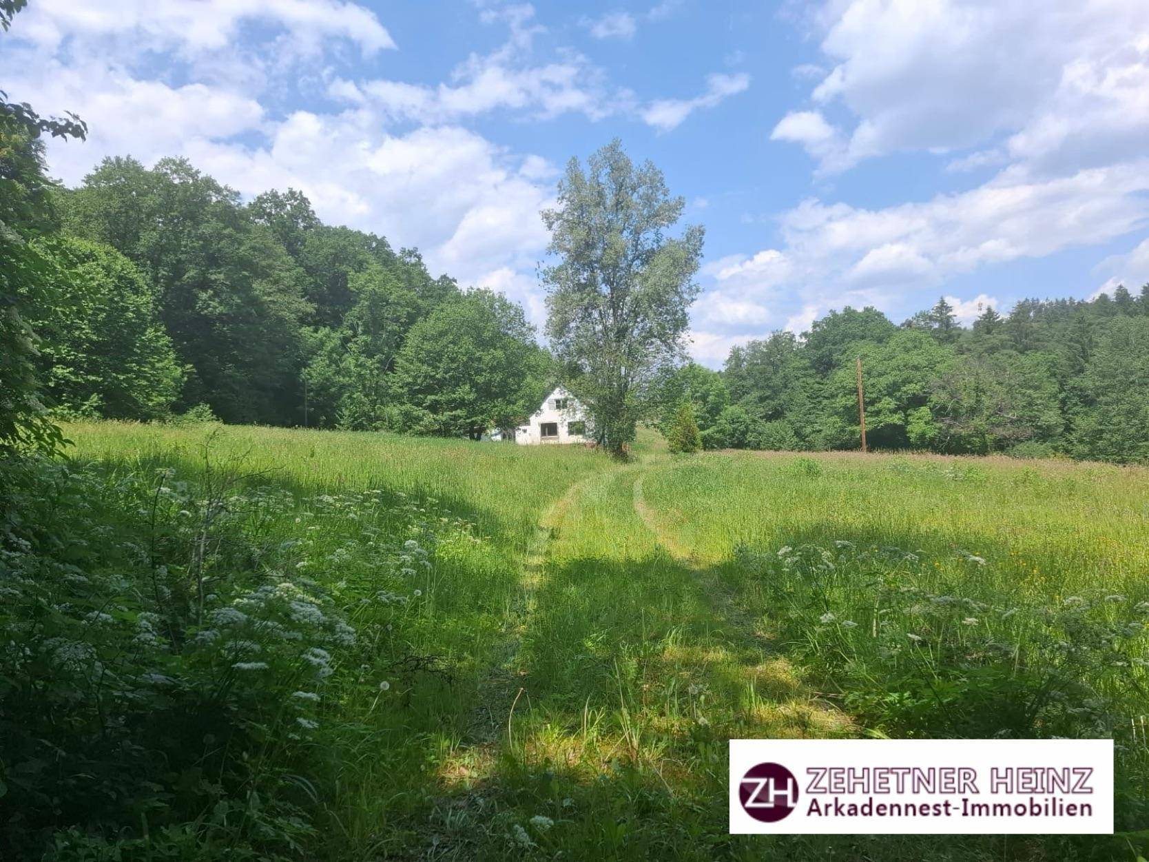 Weitläufige grüne Wiese mit einem Pfad, umgeben von dichtem Wald und einem Haus in der Ferne.
