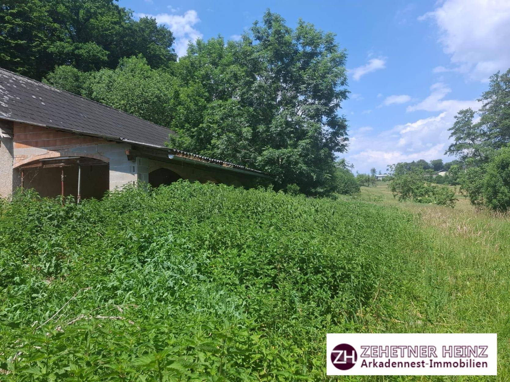 Verfallenes Gebäude, teilweise von überwucherter Vegetation verdeckt, mit Bäumen im Hintergrund.