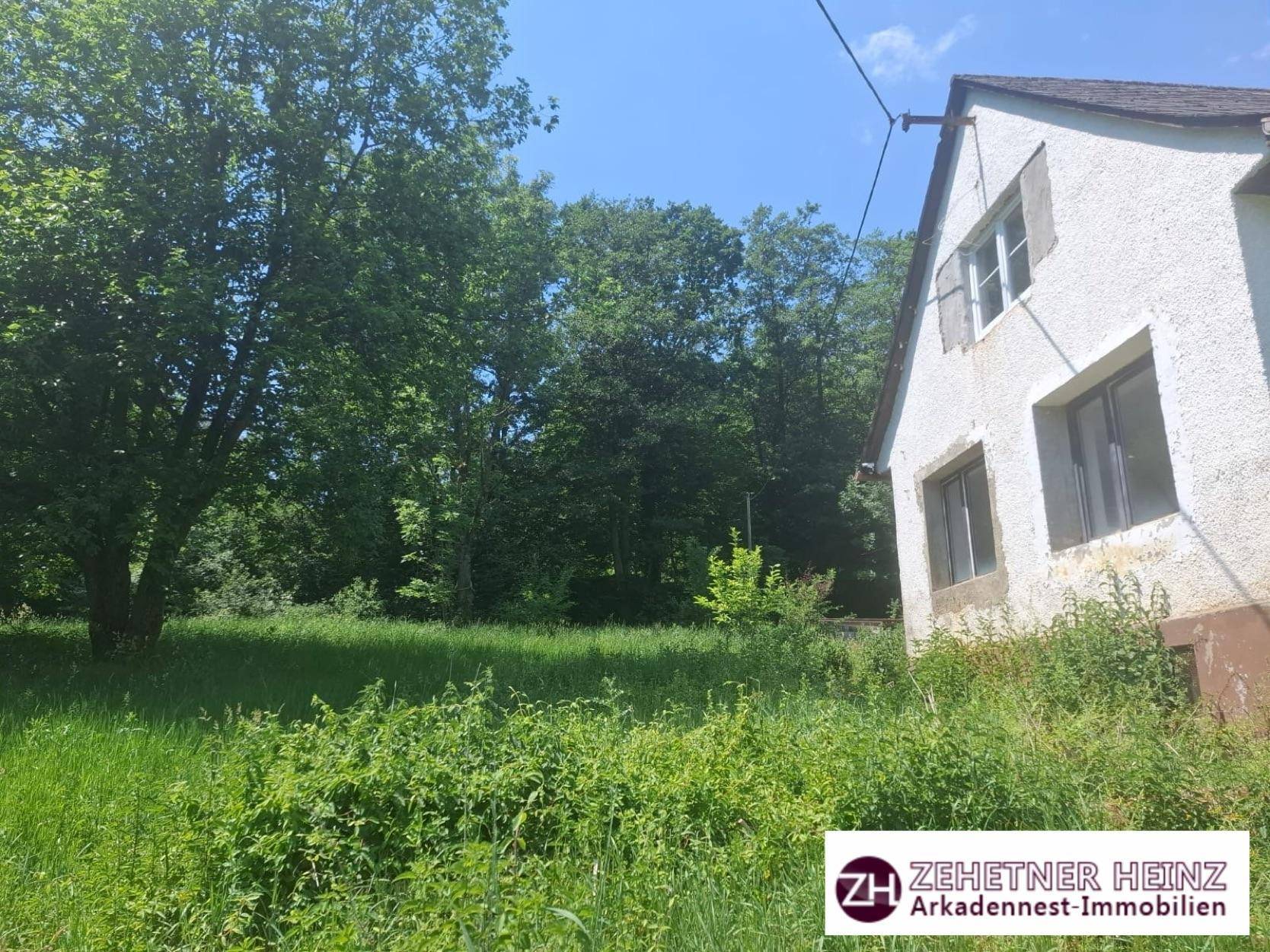 Seitenansicht eines älteren Hauses mit weißen Wänden, umgeben von überwucherter Vegetation und Bäumen.