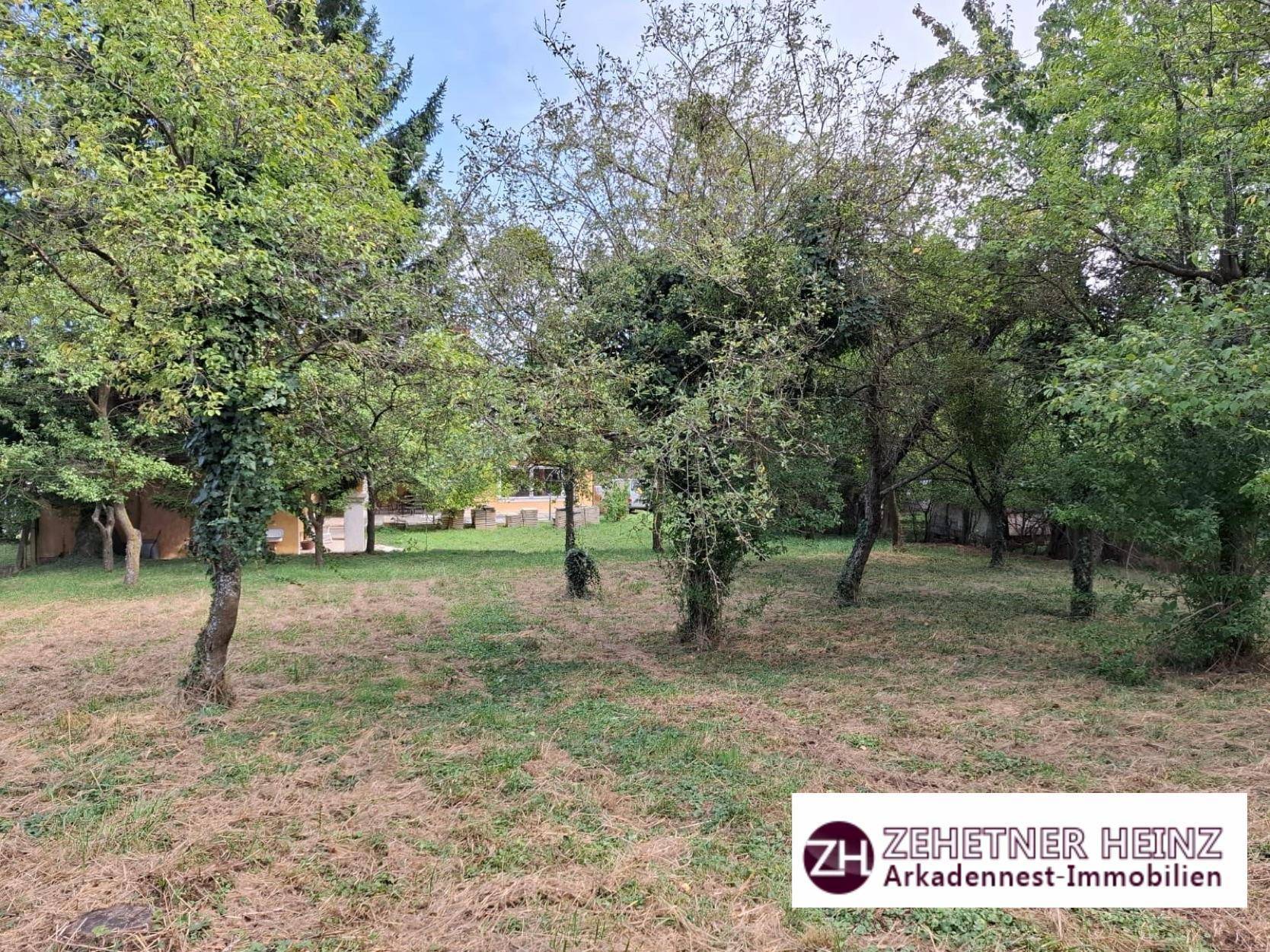 Großer Garten mit vielen Bäumen und Wiesenfläche, umgeben von Natur.