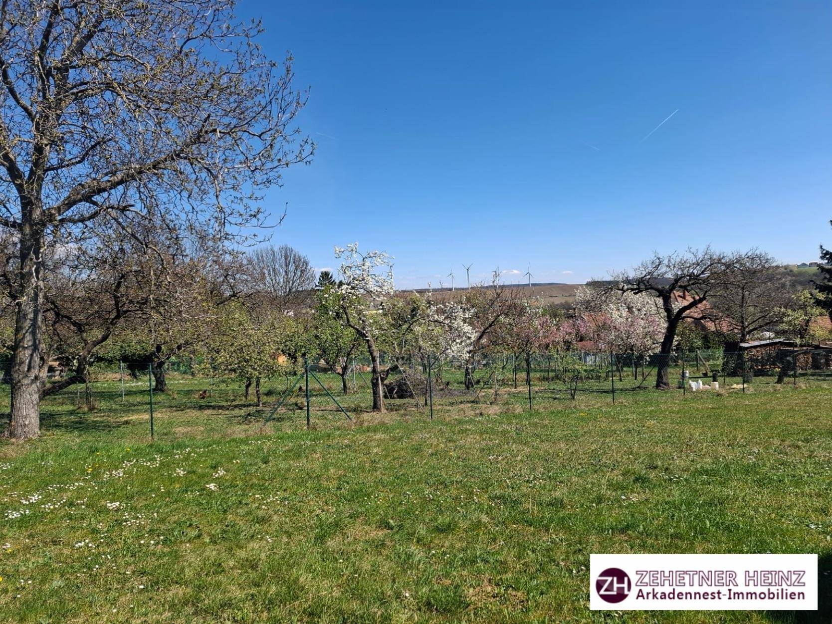Weitläufiger Garten mit blühenden Obstbäumen und grüner Wiese unter blauem Himmel.