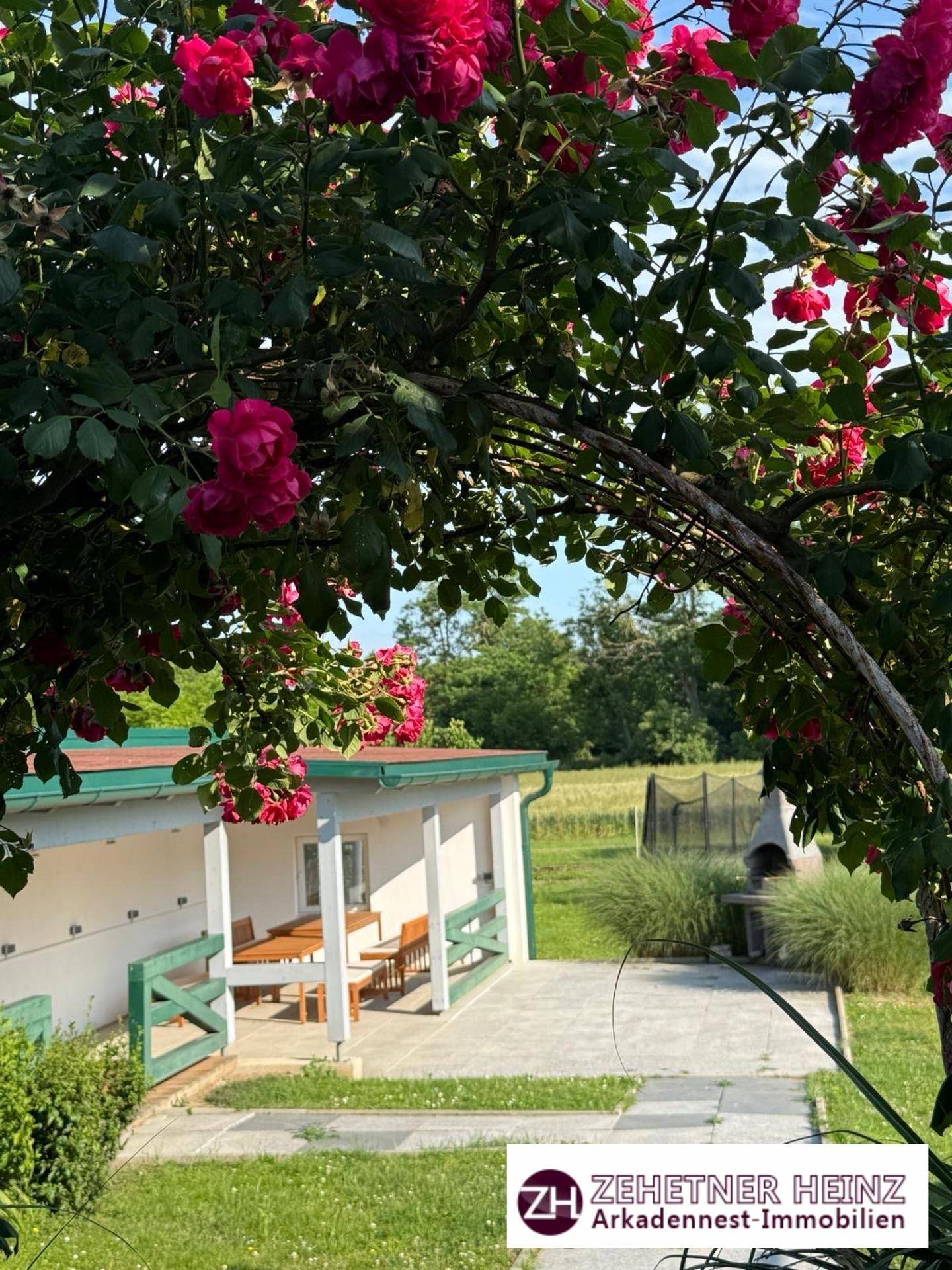 Überdachte Terrasse mit Holzbänken, umgeben von blühenden Rosen und Blick auf den Garten.