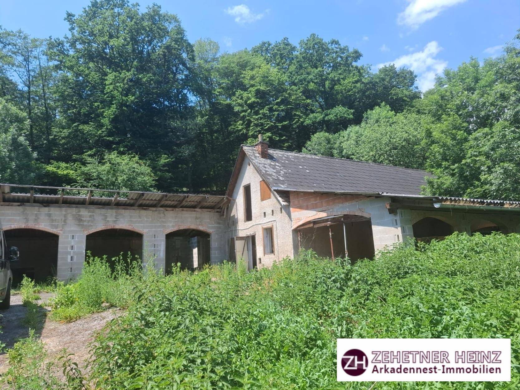 Verfallenes Haus mit Anbau, umgeben von überwucherter Vegetation und Bäumen im Hintergrund.