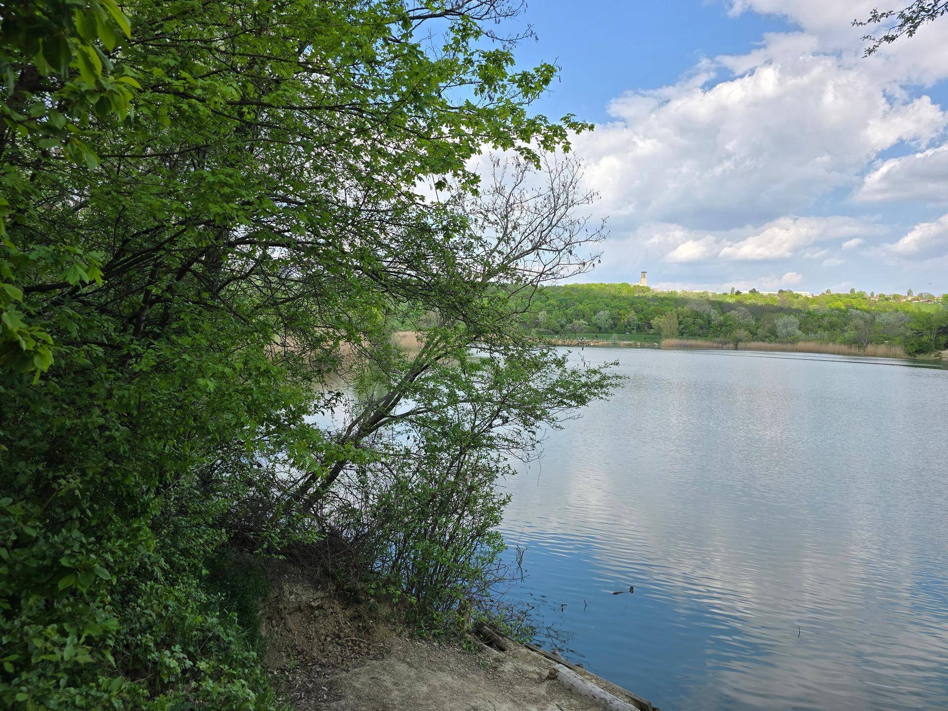 Ruhige Naturlandschaft mit einem See, umgeben von üppigem Grün und Bäumen.