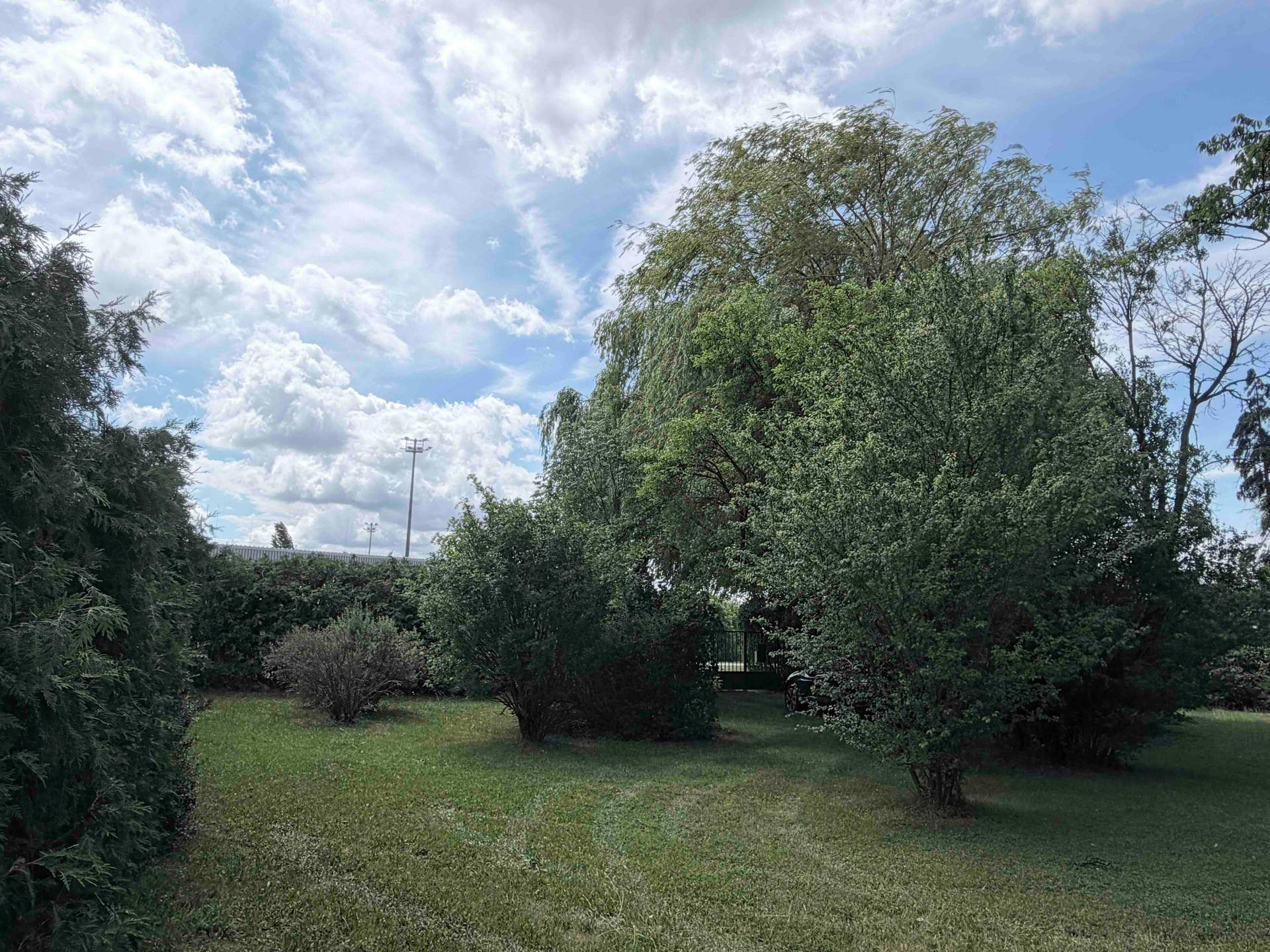 Grüner Gartenbereich mit verschiedenen Bäumen und Büschen unter einem bewölkten Himmel.