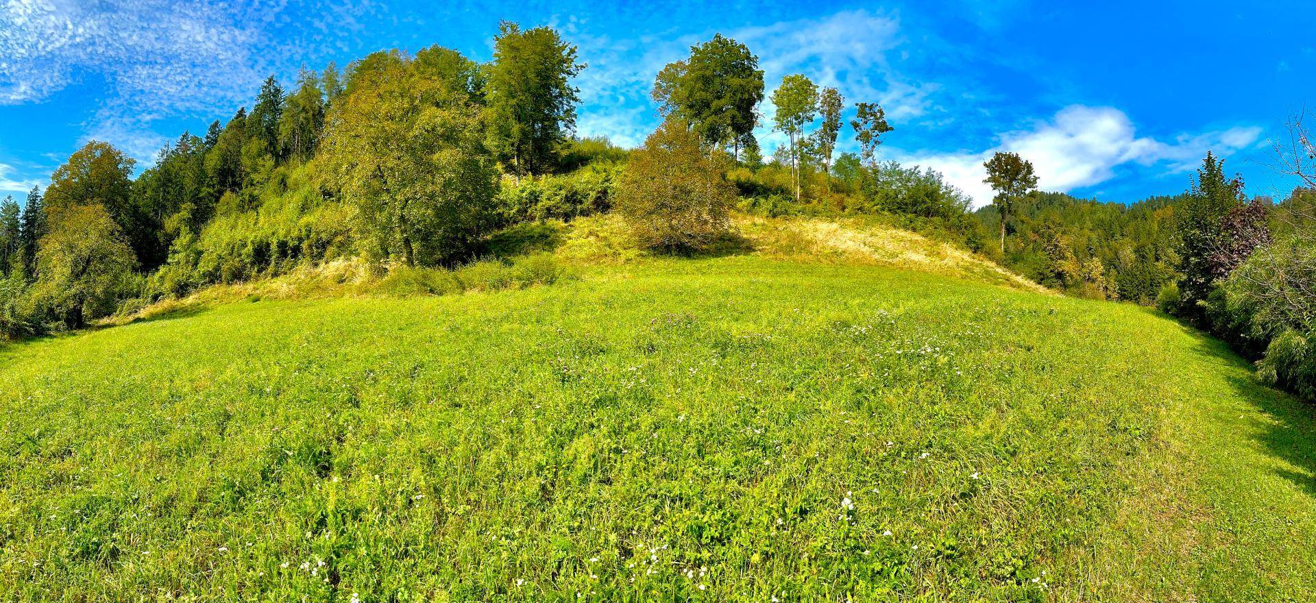 4 Baugrunstücke in Frohnleiten