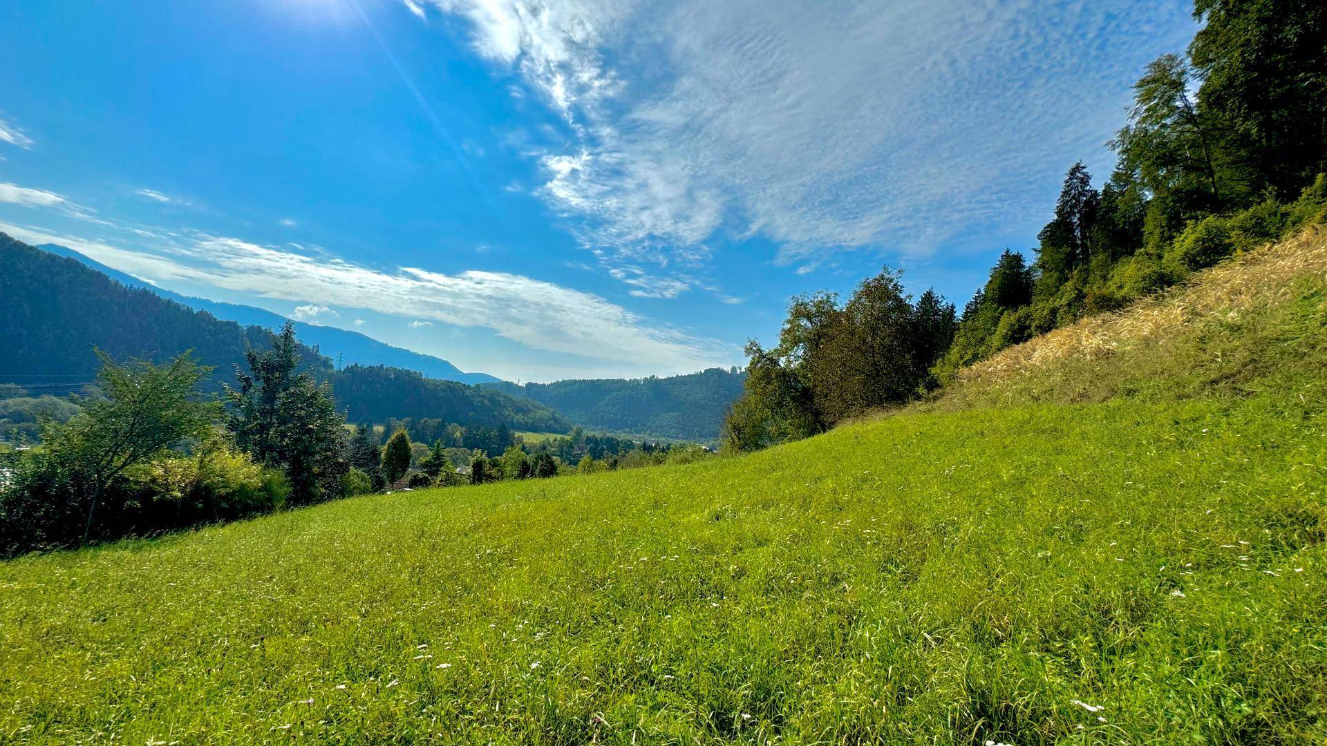 4 Baugrunstücke in Frohnleiten