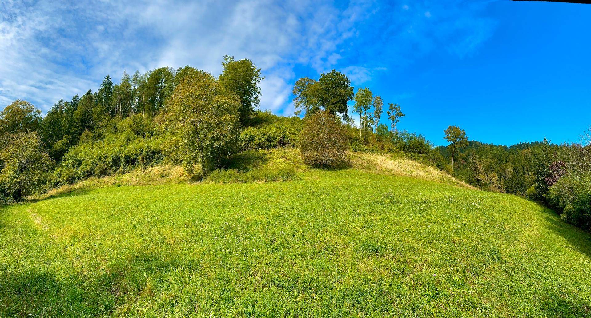 4 Baugrunstücke in Frohnleiten