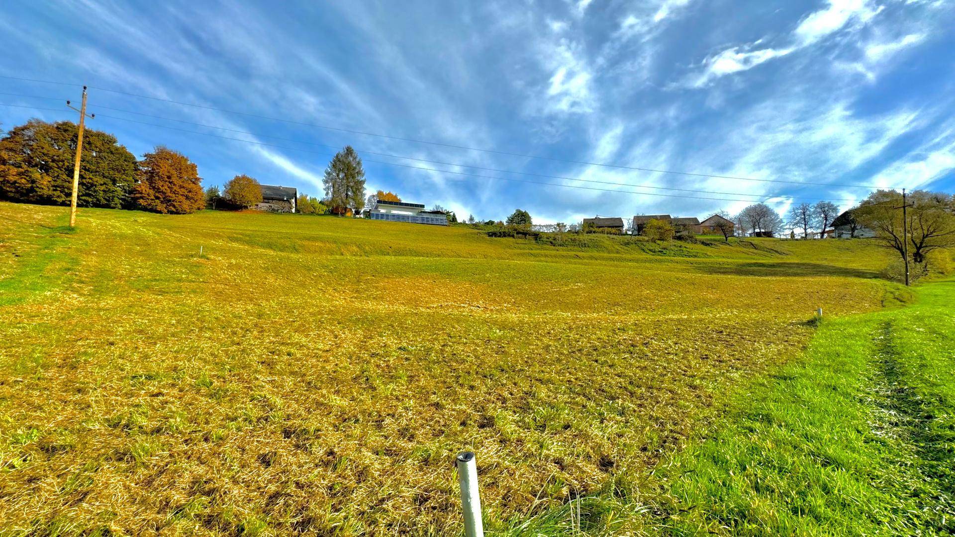 Landwirtschaftliche Grundfläche