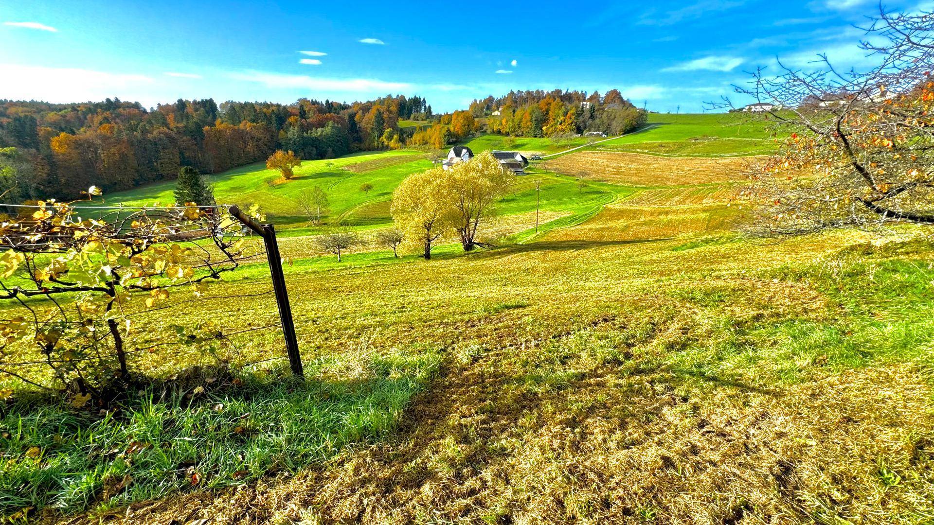 Landwirtschaftliche Grundfläche