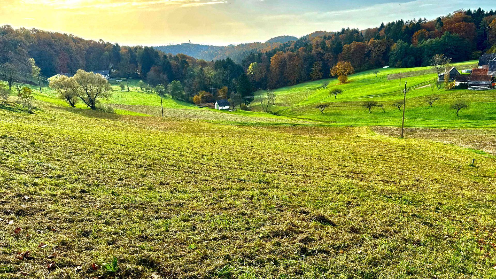 Landwirtschaftliche Grundfläche