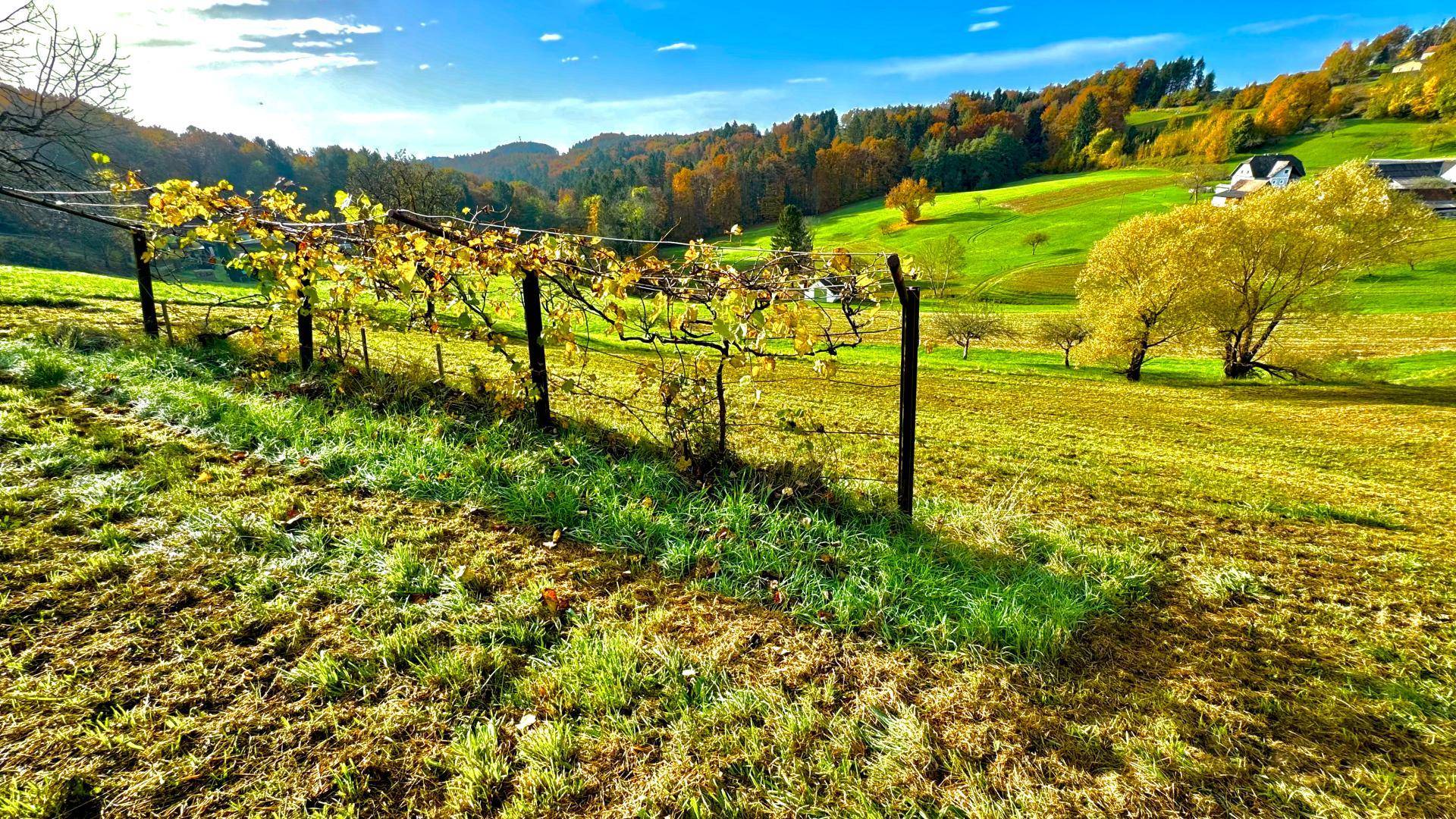 Landwirtschaftliche Grundfläche