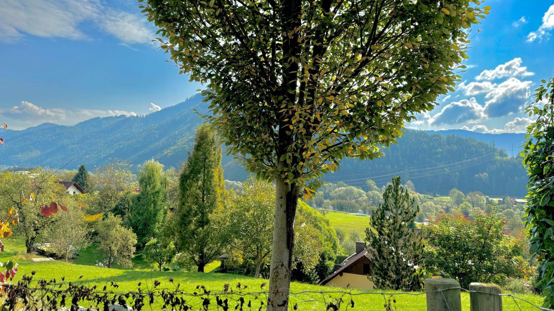 Baugrundstück in Frohnleiten