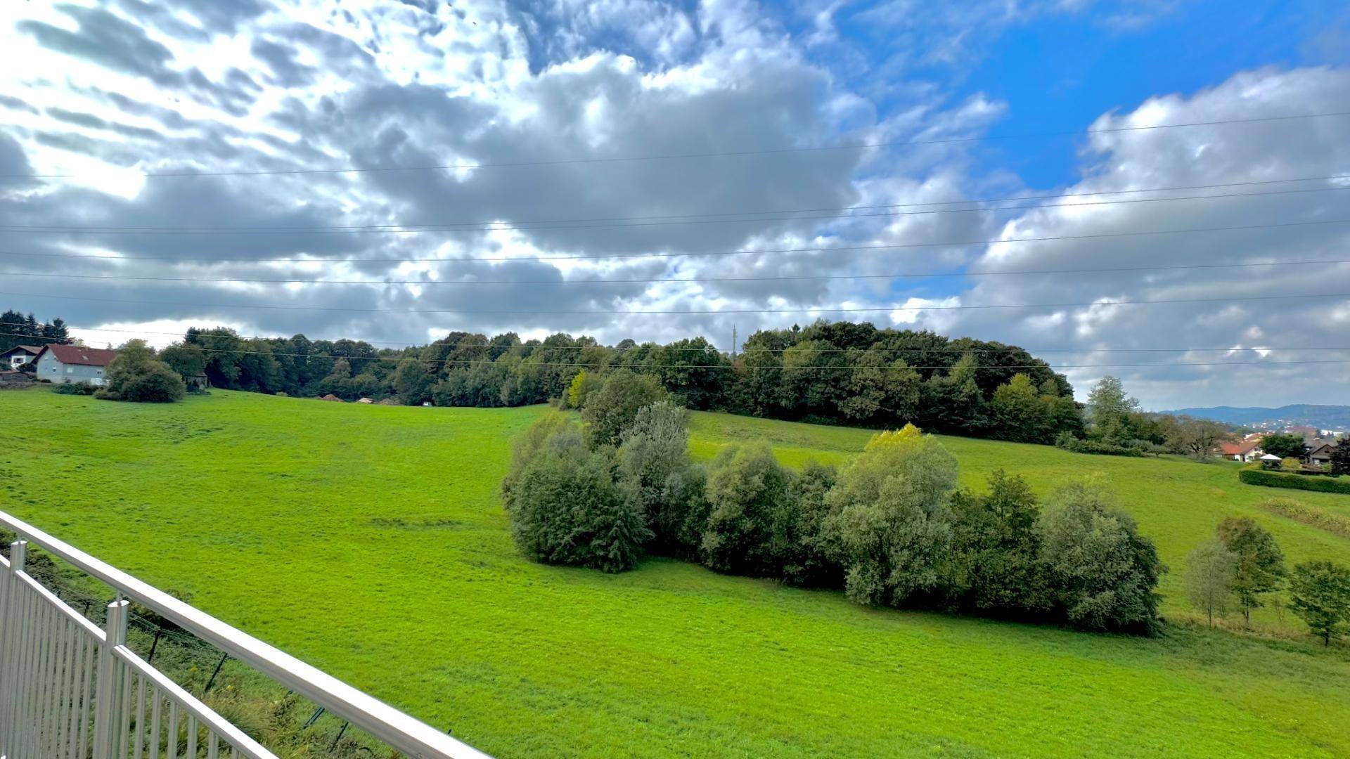 Weitläufiger Blick über grüne Wiesen und bewaldete Hügel unter blauem Himmel.