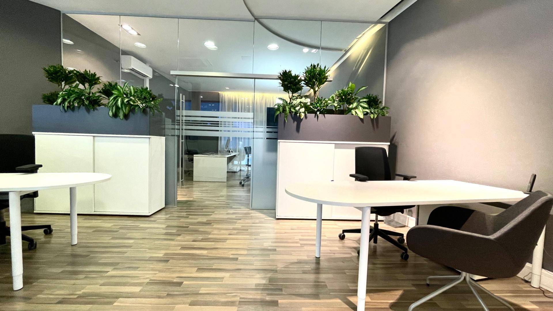 Heller und geräumiger Bürobereich mit modernen Schreibtischen, ergonomischen Stühlen und Glasabtrennungen.