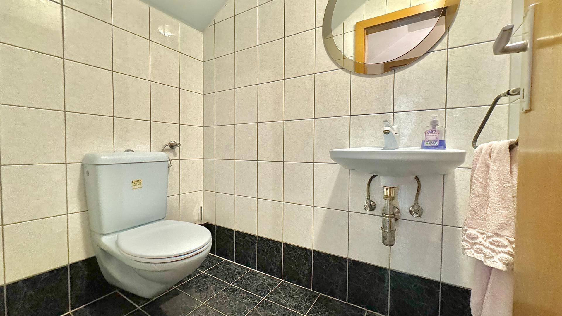 Kleines Gäste-WC mit Toilette und Waschbecken, gefliest in hellen und dunklen Tönen.