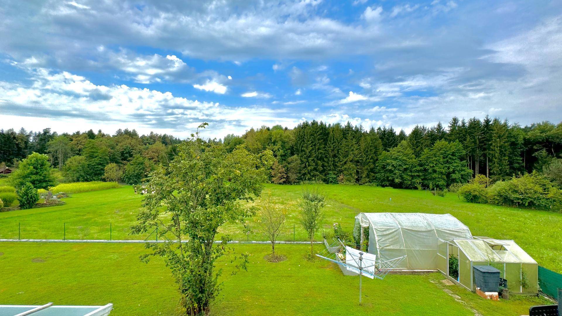 Weitläufiger Gartenbereich mit grünen Wiesen, Bäumen und einem Gewächshaus unter blauem Himmel.