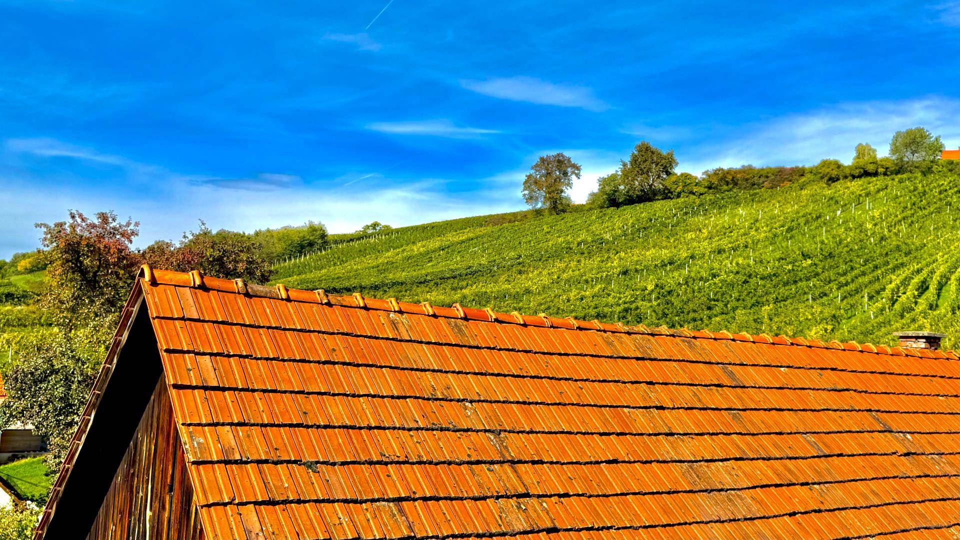 Traditionelles Ziegeldach mit Blick auf die umliegenden grünen Weinberge unter blauem Himmel.