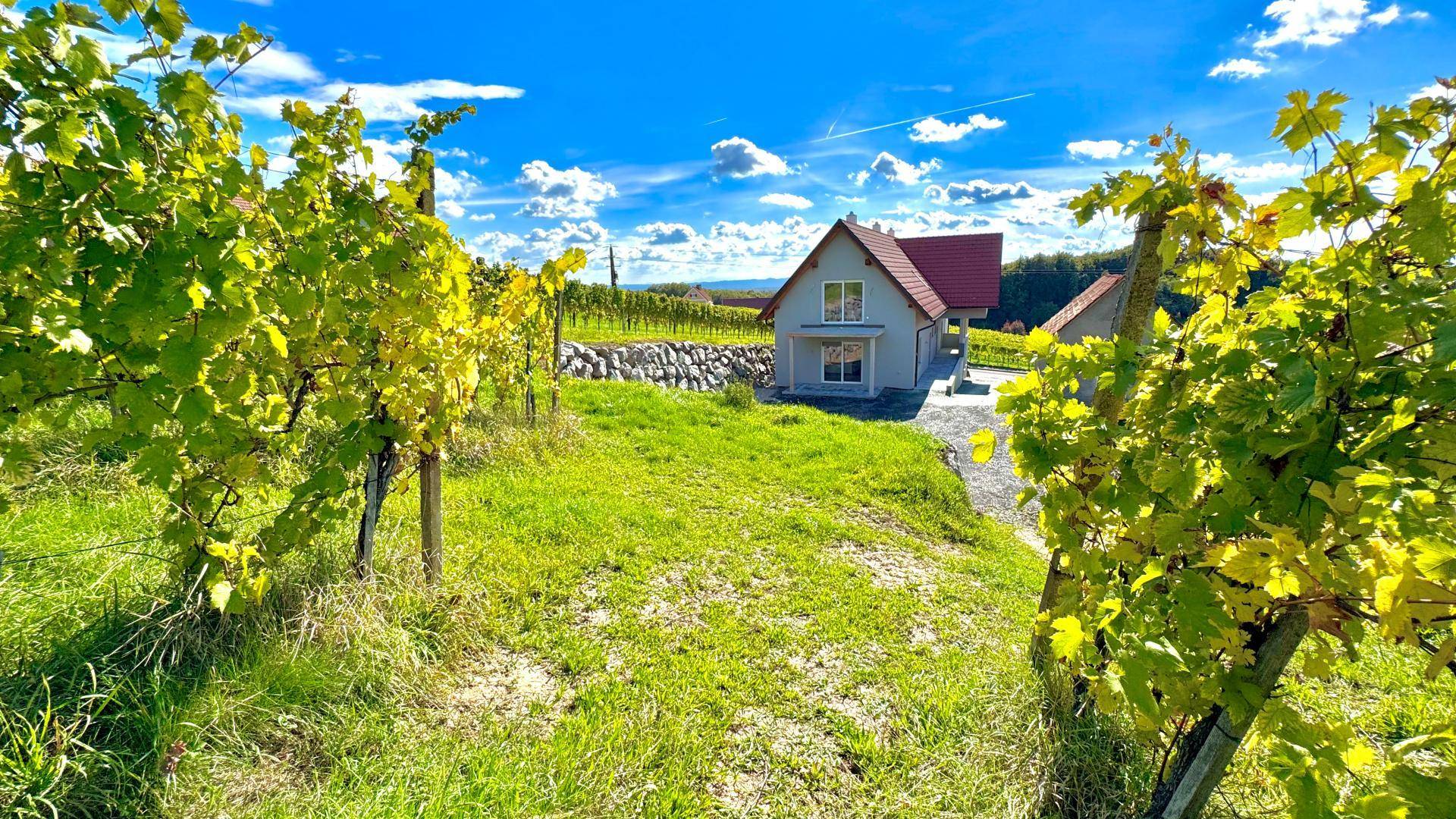 Charmantes Haus inmitten von Weinreben unter einem weiten blauen Himmel mit Wolken.
