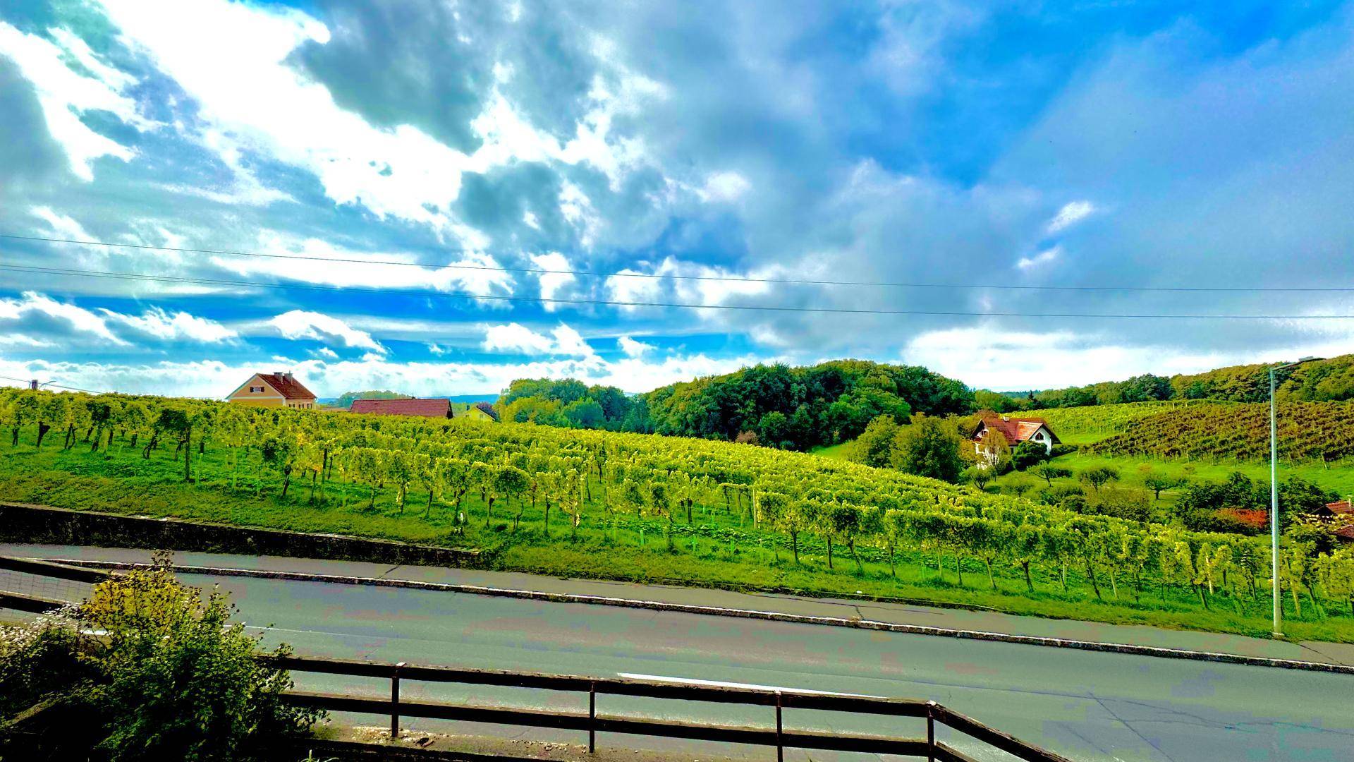 Weitläufiger Blick über grüne Weinberge und vereinzelte Häuser unter einem dramatischen Himmel.