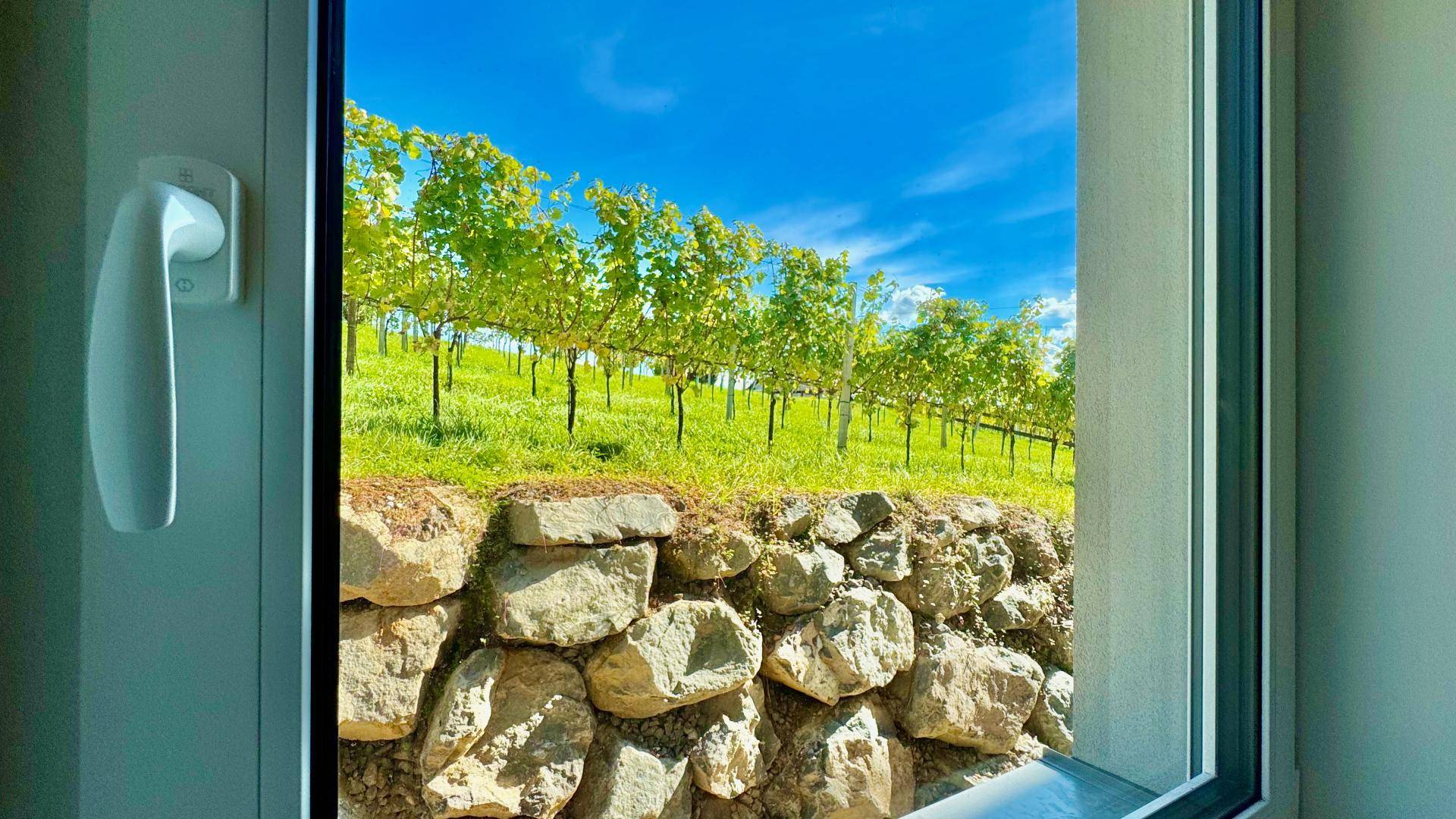 Detailansicht eines Fensters mit malerischem Blick auf die sonnigen Weinberge.