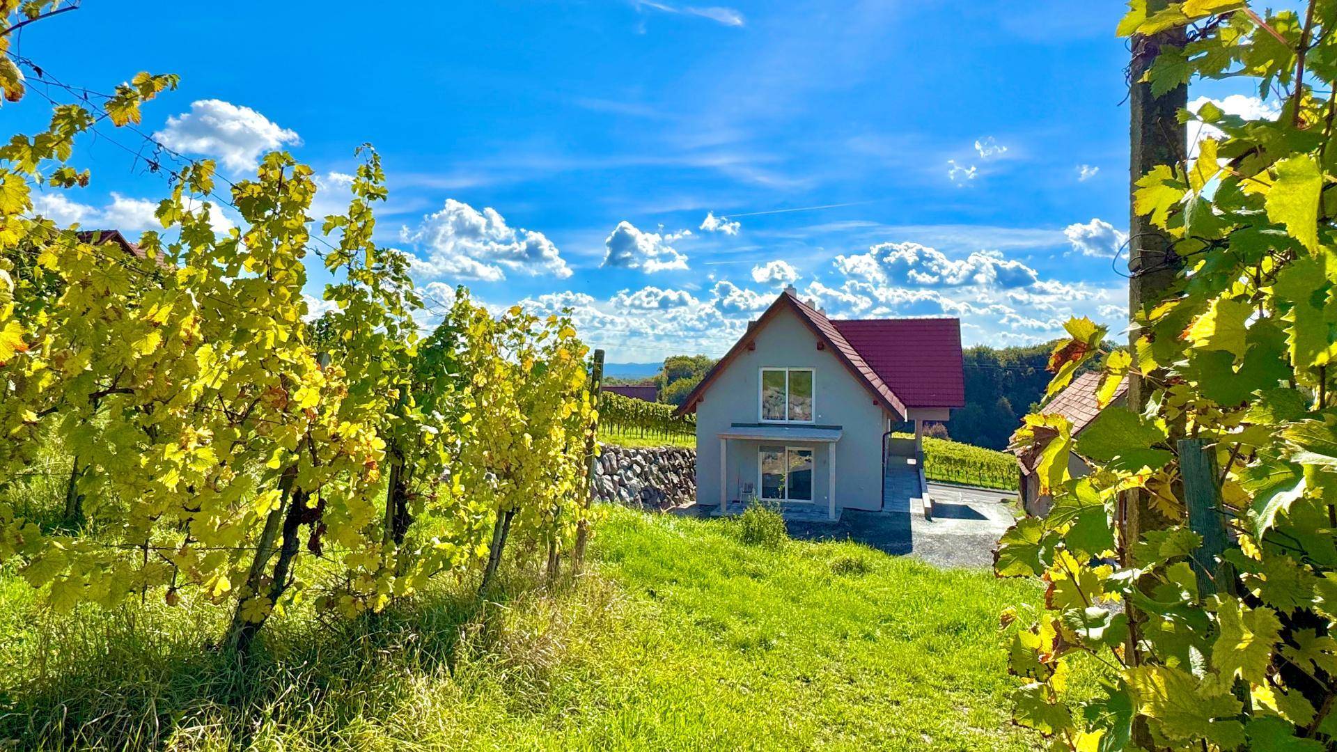 Das Haus eingebettet in die malerische Landschaft der Weinberge, von oben gesehen.
