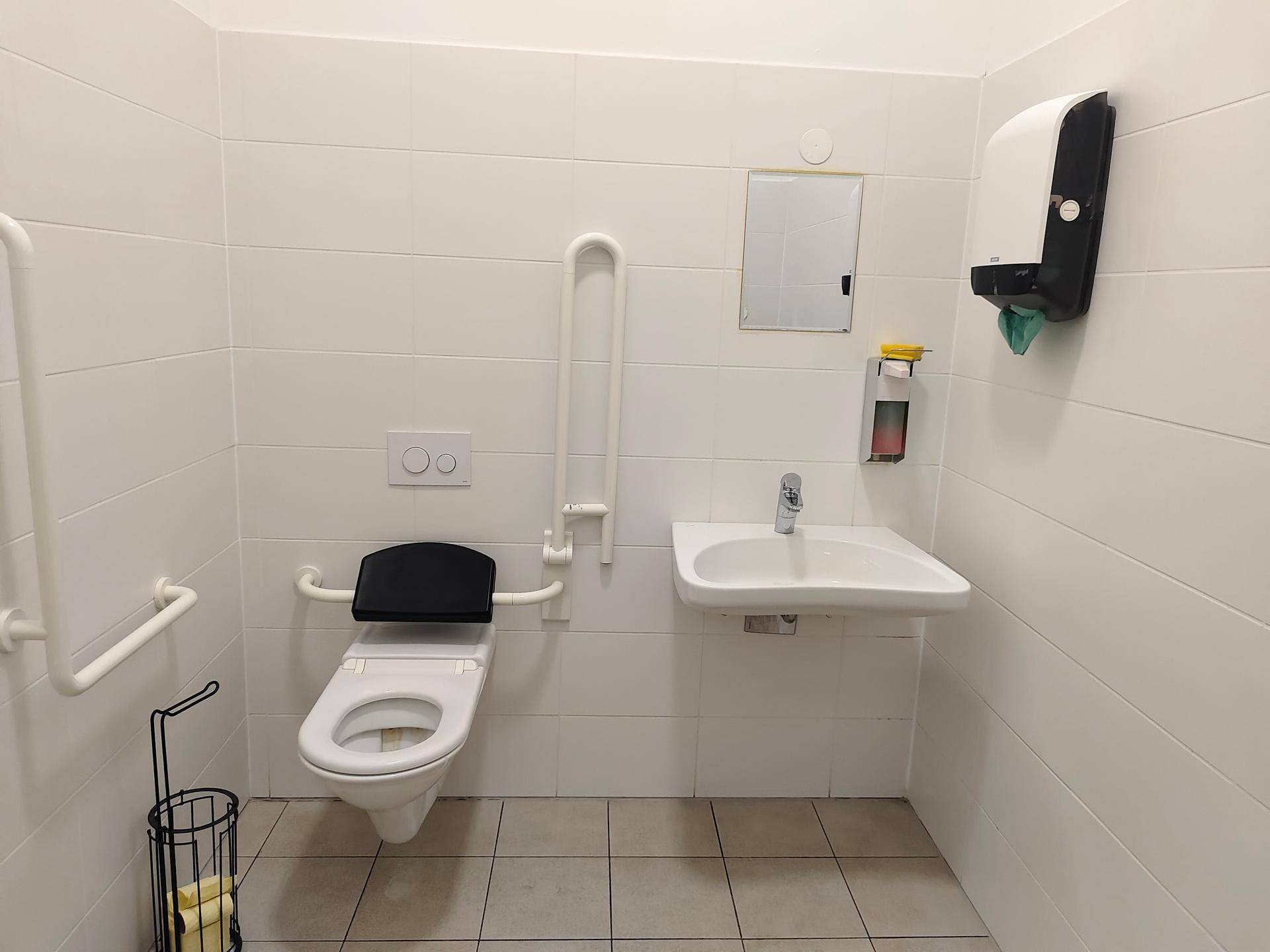 Barrierefreies Badezimmer mit Haltegriffen, wandmontierter Toilette und Waschbecken, alles in Weiß gehalten.