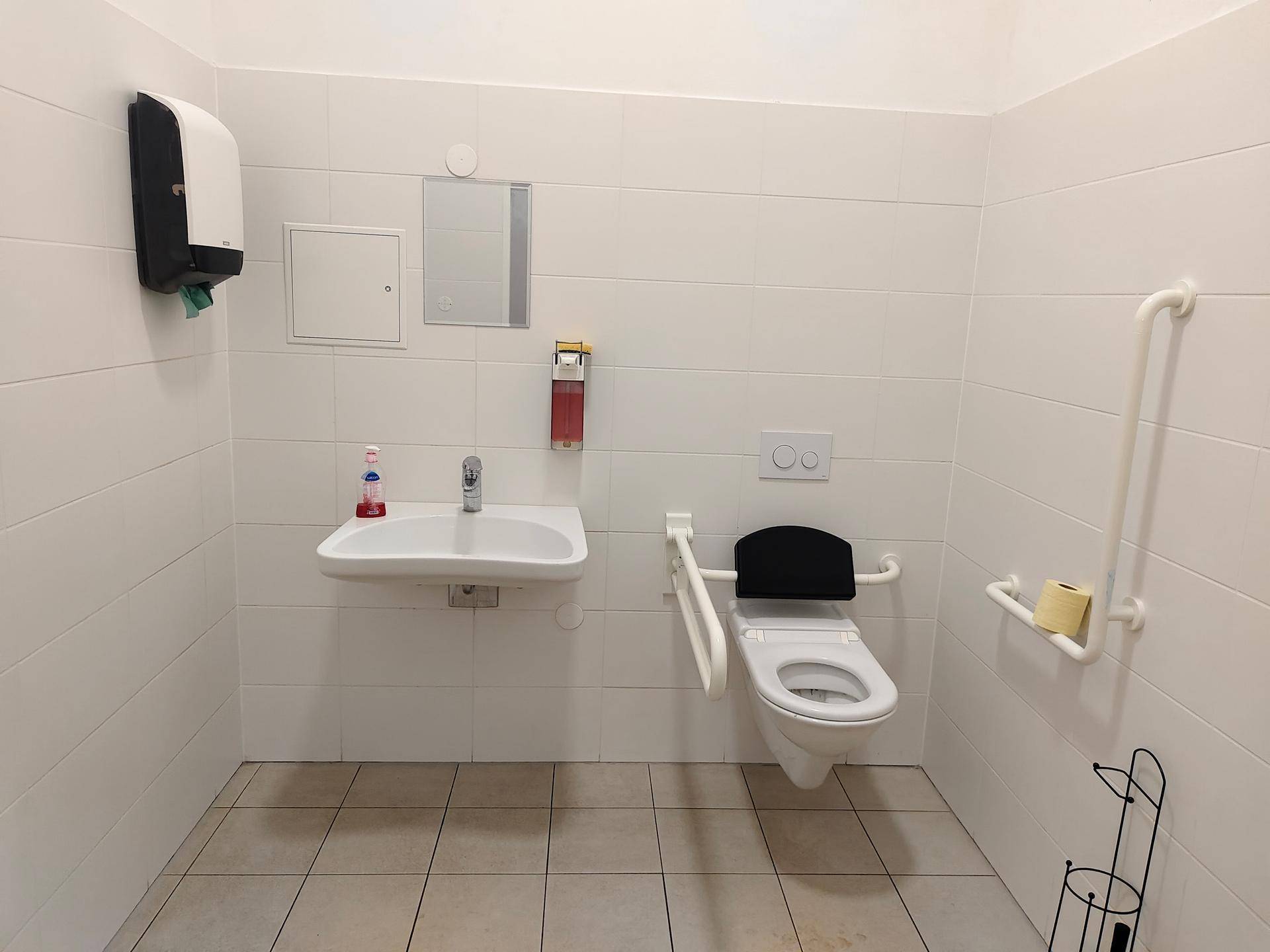 Barrierefreies Badezimmer mit Haltegriffen, wandmontierter Toilette und Waschbecken, alles in Weiß gehalten.