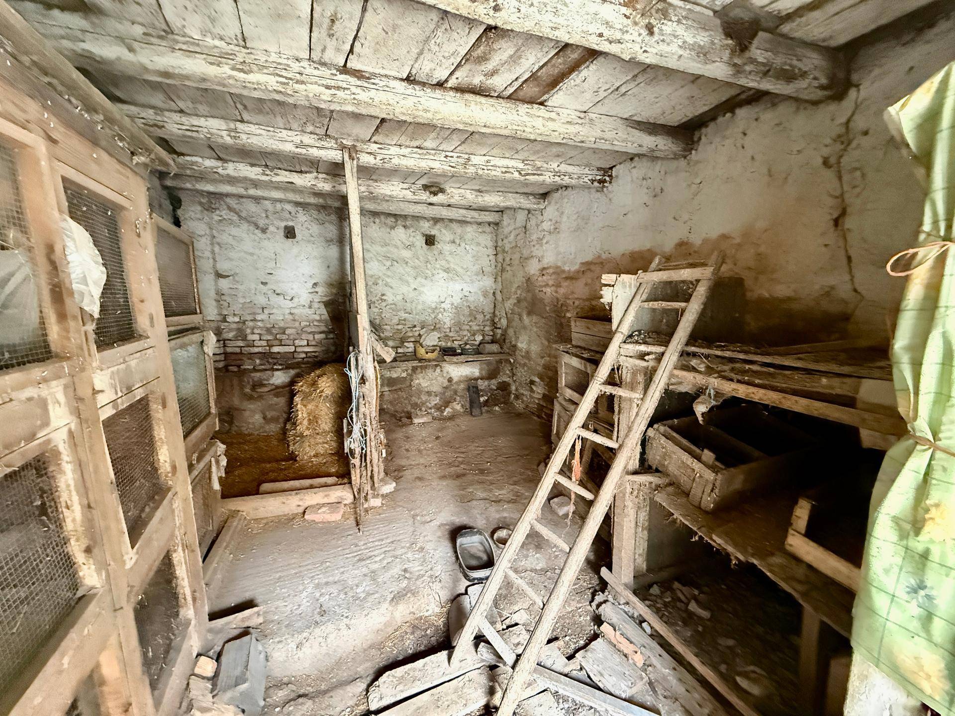 Rustikaler Raum mit freiliegenden Holzbalken, rauen Wänden und alten Holzregalen.