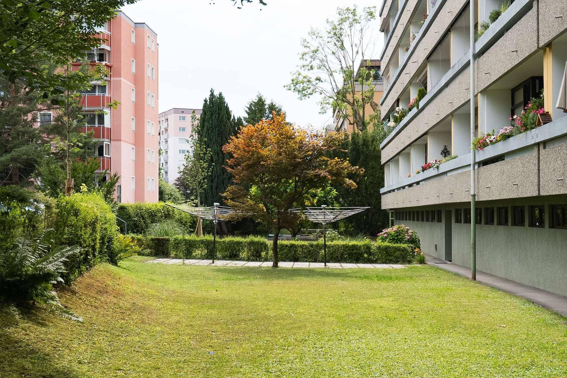 Gepflegte Gemeinschaftsgrünfläche mit Rasen und Bäumen hinter den Wohngebäuden.