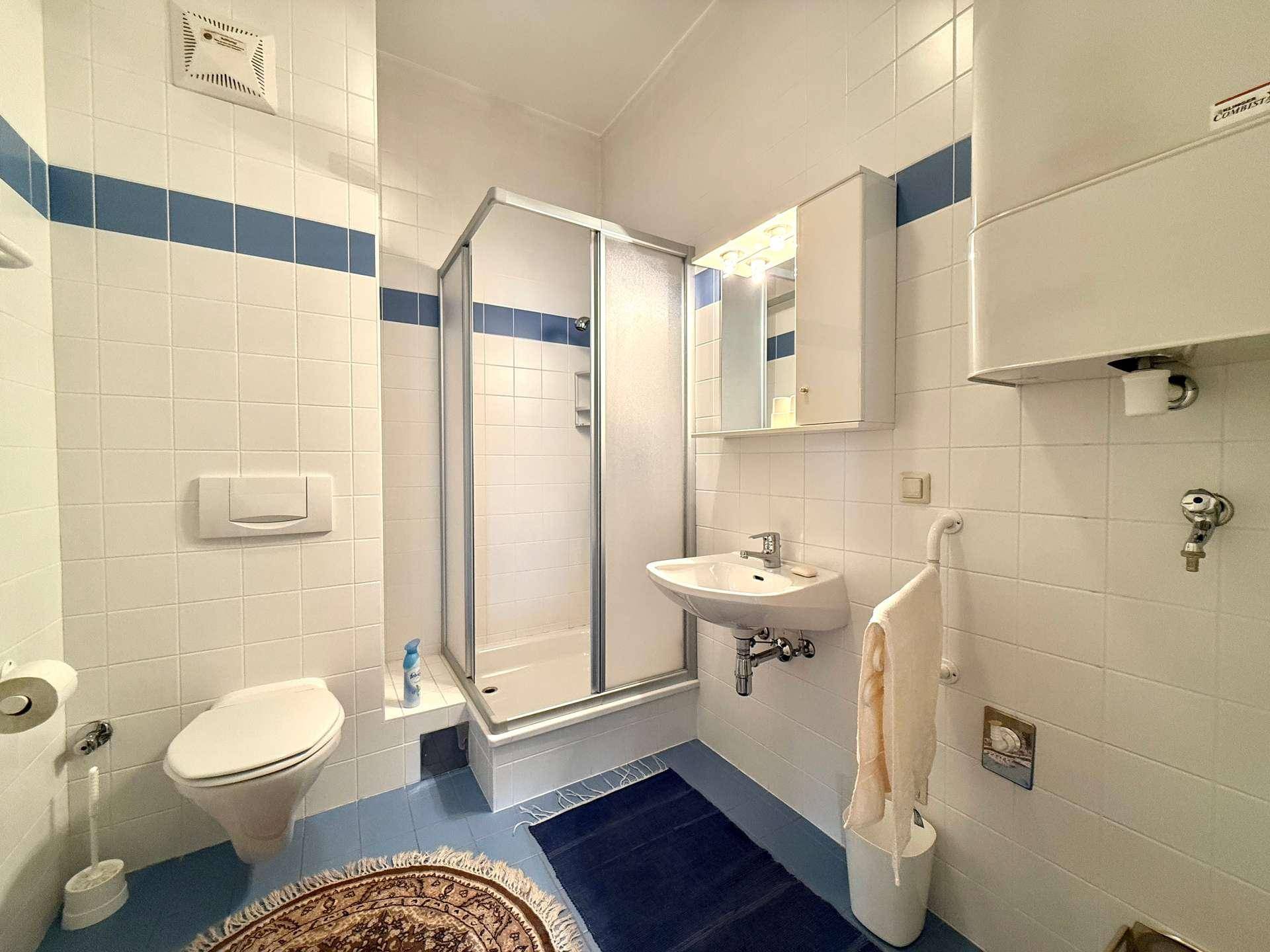 Badezimmer mit weißen und blauen Fliesen, Duschkabine, WC und Waschbecken.