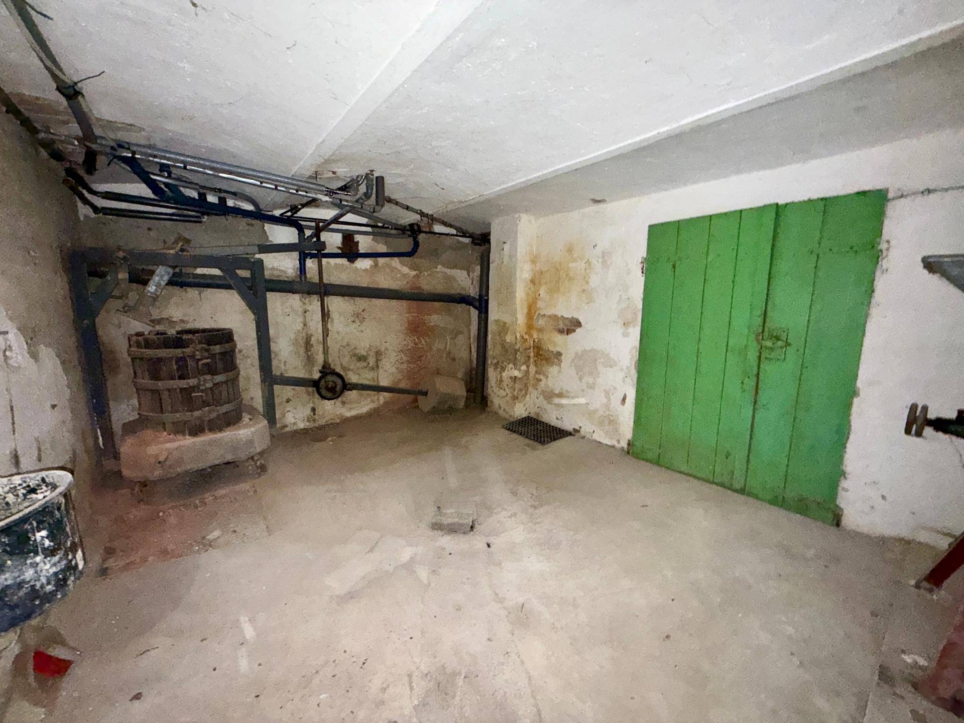 Rustikaler Kellerraum mit Betonboden, sichtbaren Rohren und grüner Holztür.