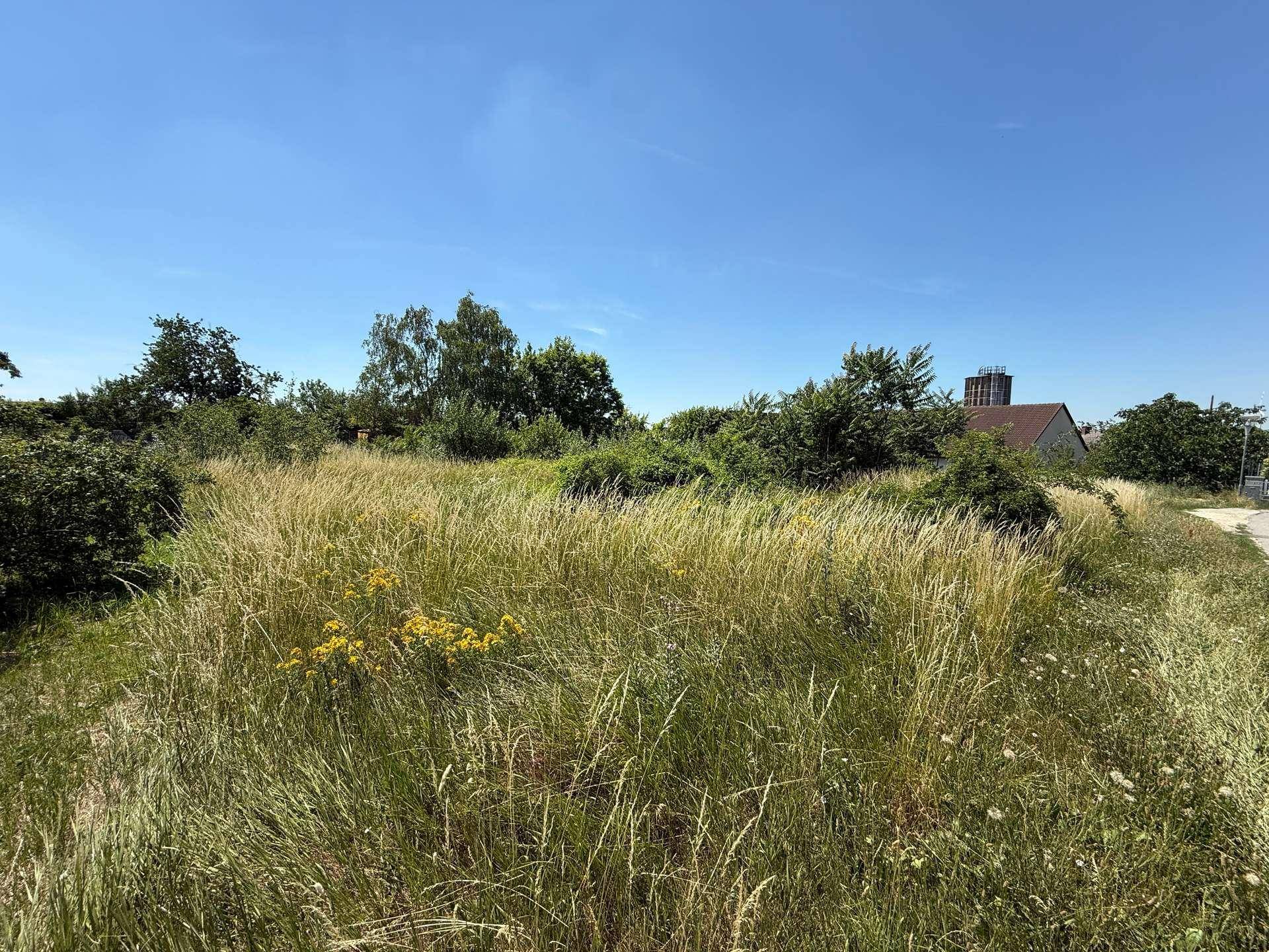 Unbebautes Grundstück mit üppiger Vegetation und Blick auf die umliegende Landschaft.