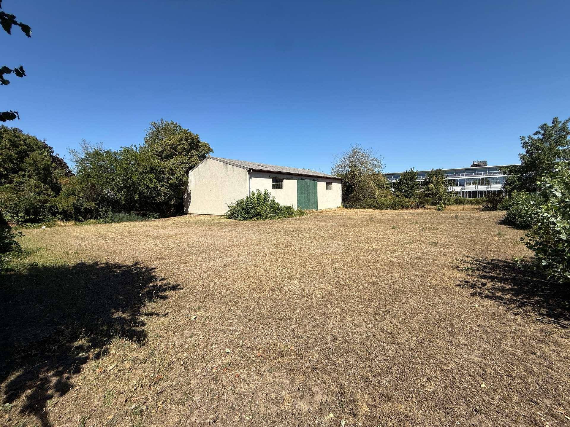 Weitläufiges Grundstück mit trockenem Gras und einem einfachen Schuppen unter klarem blauem Himmel.