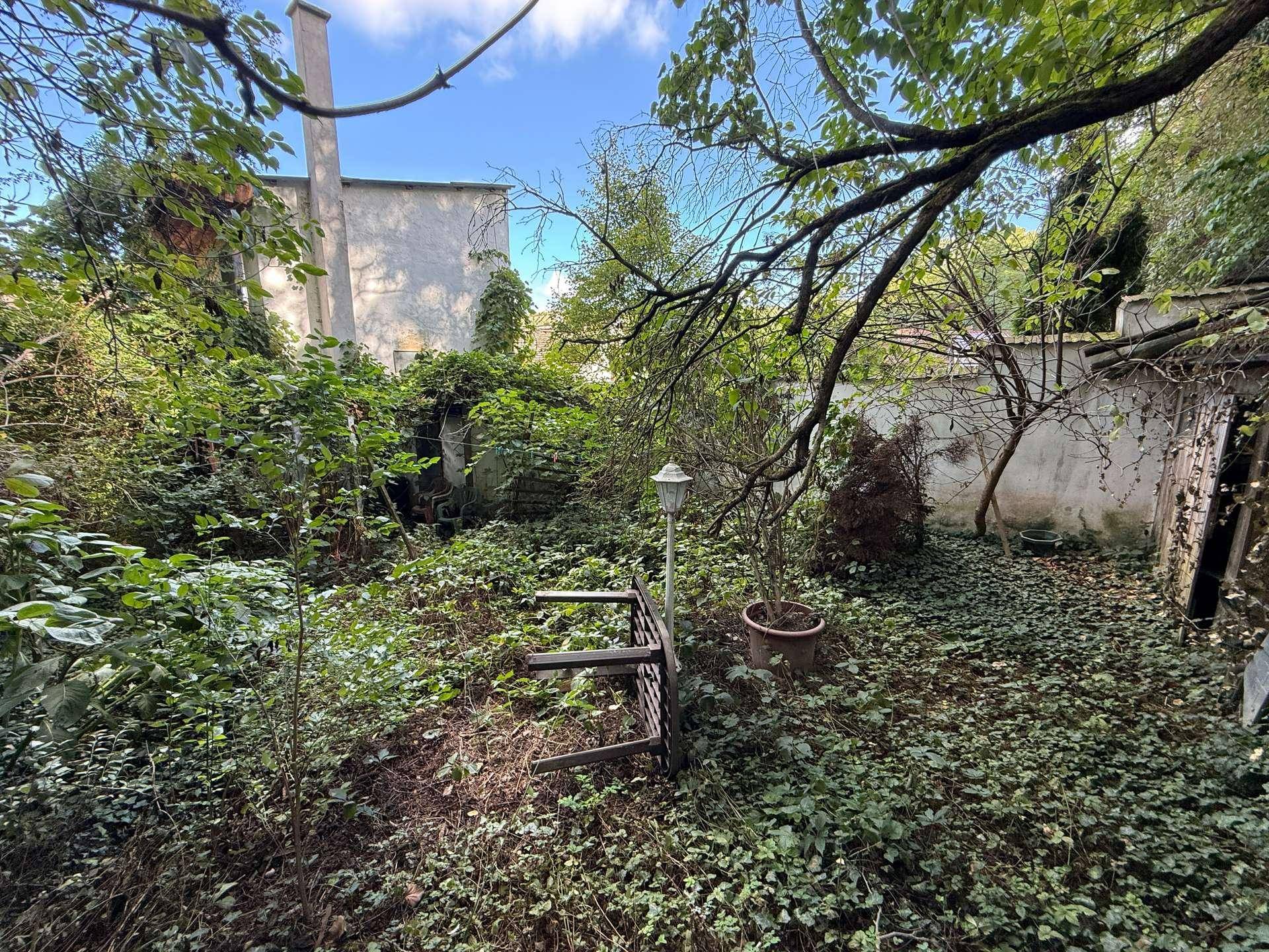 Verwilderter Gartenbereich mit alter Gartenbank und Laterne, umgeben von Bäumen.